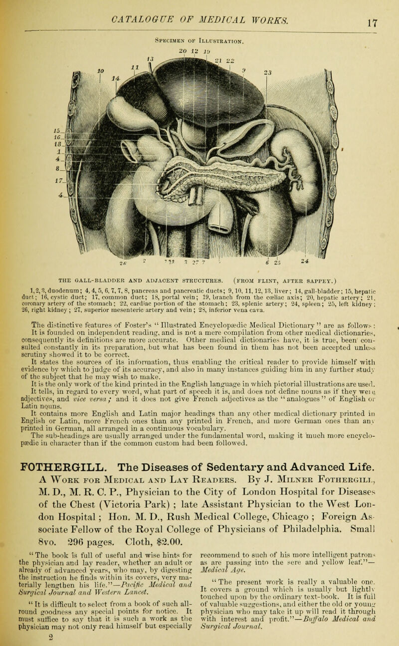 Specimen of Illustration. 20 12 l'j THE GALL-BLADDER AND ADJACENT STRUCTURES. (FROM FLINT, AFTER SAPPEY.) 1,2,3,duodenum; 4,4,5, 6,7,7, 8, pancreas and pancreatic ducts; 9,10, 11,12,13, liver; 14, pall-bladder; 15, hepatic duct,; 16, cystic duct; 17, common duct; 18, portal vein; 19, branch from the coeliac axis; 20, hepatic artery; 21, coronary artery of the stomach; 22, cardiac portion of the stomach; 23, splenic artery; 24, spleen; '^5, left kidney ; 26, right kidney ; 27, superior mesenteric artery and vein ; 23, inferior vena cava. The distinctive features of Foster's  Illustrated Encyclopaedic Medical Dictionary  are as follows : It is founded on independent reading, and is not a mere compilation from other medical dictionaries, consequently its definitions are more accurate. Other medical dictionaries have, it is true, been con- sulted constantly in its preparation, but what has beeD found in them has not been accepted unless scrutiny showed it to be correct. It states the sources of its information, thus enabling the critical reader to provide himself with evidence by which to judge of its accuracy, and also in many instances guiding him in any further study of the subject that he may wish to make. It is the only work of the kind printed in the English language in which pictorial illustrations are used. It tells, in regard to every word, what part of speech it is, and does not define nouns as if they weiu adjectives, and vice versa; and it does not give .French adjectives as the uanalogues of English or Latin nquns. It contains more English and Latin major headings than any other medical dictionary printed in English or Latin, more French ones than any printed in French, and more German ones than am printed in German, all arranged in a continuous vocabulary. The sub-headings are usually arranged under the fundamental word, making it much more encyclo- paedic in character than if the common custom had been followed. FOTHERGILL. The Diseases of Sedentary and Advanced Life. A Work for Medical and Lay Readers. By J. Milner Fothergili., M. D., M. R. C. P., Physician to the City of London Hospital for Diseases of the Chest (Victoria Park) ; late Assistant Physician to the West Lon- don Hospital; Hon. M. D., Rush Medical College, Chicago ; Foreign As- sociate Fellow of the Royal College of Physicians of Philadelphia. Small 8vo. 296 pages. Cloth, $2.00.  The book is full of useful and wise hints for the physician and lay reader, whether an adult or already of advanced years, who may, by digesting the instruction he finds within its covers, very ma- terially lengthen his life.—Pacific Medical and Surgical Journal and Western Lancet.  It is difficult to select froma book of such all- round goodness any special points for notice. It must suffice to say that it is such a work as the physician may not only read himself but especially 2 recommend to such of his more intelligent patrons as are passing into the sere and yellow leaf.— Medical Age. The present work is really a valuable one. It covers a ground which is usually but lightlv touched upon by the ordinary text-book. It is fuil of valuable suggestions, and either the old or young physician who may take it up will read it through with interest and' profit.—Buffalo Medical and Surgical Journal.