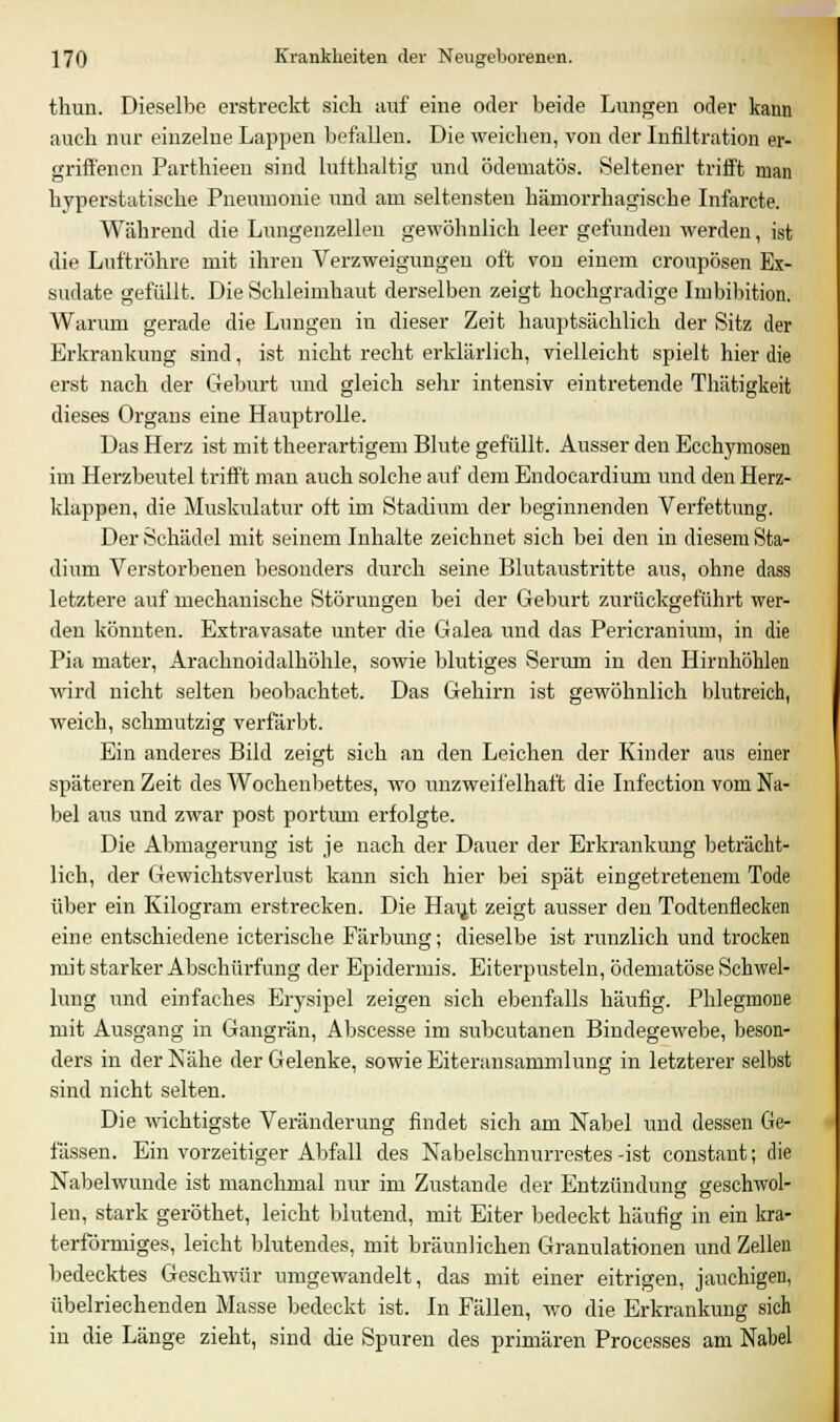 thun. Dieselbe erstreckt sich auf eine oder beide Lungen oder kann auch nur einzelne Lappen befallen. Die weichen, von der Infiltration er- griffenen Parthieen sind lufthaltig und ödematös. Seltener trifft man hyperstatische Pneumonie und am seltensten hämorrhagische Infarcte. Während die Lungenzellen gewöhnlich leer gefunden werden, ist die Luftröhre mit ihren Verzweigungen oft von einem croupösen Ex- sudate gefüllt. Die Schleimhaut derselben zeigt hochgradige Imbibition. Warum gerade die Lungen in dieser Zeit hauptsächlich der Sitz der Erkrankung sind, ist nicht recht erklärlich, vielleicht spielt hier die erst nach der Geburt und gleich sehr intensiv eintretende Thätigkeit dieses Organs eine Hauptrolle. Das Herz ist mit theerartigem Blute gefüllt. Ausser den Ecchymosen im Herzbeutel trifft man auch solche auf dem Endocardium und den Herz- klappen, die Muskulatur oft im Stadium der beginnenden Verfettung. Der Schädel mit seinem Inhalte zeichnet sich bei den in diesem Sta- dium Verstorbenen besonders durch seine Blutaustritte aus, ohne dass letztere auf mechanische Störungen bei der Geburt zurückgeführt wer- den könnten. Extravasate unter die Galea und das Pericranium, in die Pia mater, Arachnoidalhöhle, sowie blutiges Serum in den Hirnhöhlen wird nicht selten beobachtet. Das Gehirn ist gewöhnlich blutreich, weich, schmutzig verfärbt. Ein anderes Bild zeigt sich an den Leichen der Kinder aus einer späteren Zeit des Wochenbettes, wo unzweifelhaft die Infection vom Na- bel aus und zwar post portmn erfolgte. Die Abmagerung ist je nach der Dauer der Erkrankung beträcht- lich, der Gewichtsverlust kann sich hier bei spät eingetretenem Tode über ein Kilogram erstrecken. Die Hairt zeigt ausser den Todtenflecken eine entschiedene icterische Färbung; dieselbe ist runzlich und trocken mit starker Abschürfung der Epidermis. Eiterpusteln, ödematöse Schwel- lung und einfaches Erysipel zeigen sich ebenfalls häufig. Phlegmone mit Ausgang in Gangrän, Abscesse im subcutanen Bindegewebe, beson- ders in der Nähe der Gelenke, sowie Eiteransammlung in letzterer selbst sind nicht selten. Die wichtigste Veränderung findet sich am Nabel und dessen Ge- lassen. Ein vorzeitiger Abfall des Nabelschnurrestes -ist constant; die Nabelwunde ist manchmal nur im Zustande der Entzündung geschwol- len, stark geröthet, leicht blutend, mit Eiter bedeckt häufig in ein kra- terförmiges, leicht blutendes, mit bräunlichen Granulationen und Zellen bedecktes Geschwür umgewandelt, das mit einer eitrigen, jauchigen, übelriechenden Masse bedeckt ist. In Fällen, wo die Erkrankung sich in die Länge zieht, sind die Spuren des primären Processes am Nabel