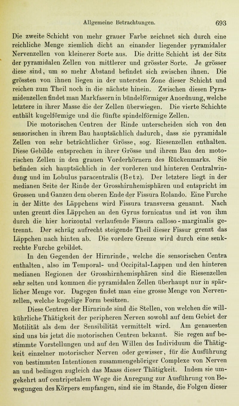 Die zweite Schicht von mehr grauer Farbe zeichnet sich durch eine reichliche Menge ziemlich dicht an einander liegender pyramidaler Nervenzellen von kleinerer Sorte aus. Die dritte Schicht ist der Sitz der pyramidalen Zellen von mittlerer und grösster Sorte. Je grösser diese sind, um so mehr Abstand befindet sich zwischen ihnen. Die grössten von ihnen liegen in der untersten Zone dieser Schicht und reichen zum Theil noch in die nächste hinein. Zwischen diesen Pyra- midenzellen findet man Markfasern in bündeiförmiger Anordnung, welche letztere in ihrer Masse die der Zellen überwiegen. Die vierte Schichte enthält kugelförmige und die fünfte spindelförmige Zellen. Die motorischen Centren der Rinde unterscheiden sich von den sensorischen in ihrem Bau hauptsächlich dadurch, dass sie pyramidale Zellen von sehr beträchtlicher Grösse, sog. Riesenzellen enthalten. Diese Gebilde entsprechen in ihrer Grösse und ihrem Bau den moto- rischen Zellen in den grauen Vorderhörnern des Rückenmarks. Sie befinden sich hauptsächlich in der vorderen und hinteren Centralwin- dung und im Lobulus paracentralis (Betz). Der letztere liegt in der medianen Seite der Rinde der Grosshirnhemisphären und entspricht im Grossen und Ganzen dem oberen Ende der Fissura Rolando. Eine Furche in der Mitte des Läppchens wird Fissura transversa genannt. Nach unten grenzt dies Läppchen au den Gyrus fornicatus und ist von ihm durch die hier horizontal verlaufende Fissura calloso - marginalis ge- trennt. Der schräg aufrecht steigende Theil dieser Fissur grenzt das Läppchen nach hinten ab. Die vordere Grenze wird durch eine senk- rechte Furche gebildet. In den Gegenden der Hirnrinde, welche die sensorischen Centra enthalten, also im Temporal- und Occipital-Lappen und den hinteren medianen Regionen der Grosshirnhemisphären sind die Riesenzellen sehr selten und kommen die pyramidalen Zellen überhaupt nur in spär- licher Menge vor. Dagegen findet man eine grosse Menge von Nerven- zellen, welche kugelige Form besitzen. Diese Centren der Hirnrinde sind die Stellen, von welchen die will- kührliche Thätigkeit der peripheren Nerven sowohl auf dem Gebiet der Motilität als dem der Sensibilität vermittelt wird. Am genauesten sind uns bis jetzt die motorischen Centren bekannt. Sie regen auf be- stimmte Vorstellungen und auf den Willen des Individuum die Thätig- keit einzelner motorischer Nerven oder gewisser, für die Ausführung von bestimmten Intentionen zusammengehöriger Complexe von Nerven an und bedingen zugleich das Maass dieser Thätigkeit. Indem sie um- gekehrt auf centripetalem Wege die Anregung zur Ausführung von Be- wegungen des Körpers empfangen, sind sie im Stande, die Folgen dieser