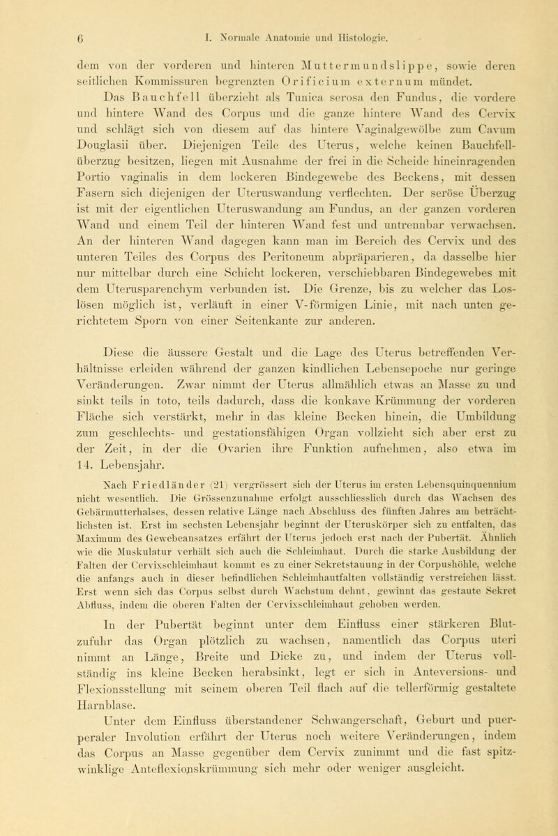 dem von der vorderen und hinteren Muttermundslippe, sowie deren seitlichen Kommissuren begrenzten Orifieiuni externum mündet. Das Bauchfell überzieht als Tunica serosa den Fundus, die vordere und hintere Wand des Corpus und die ganze hintere Wand des Cervix und schlägt sieh von diesem auf das hintere Vaginalgewölbe zum Cavurn Douglasii über. Diejenigen Teile des Uterus, welche keinen Bauchfell- Überzug besitzen, liegen mit Ausnahme der frei in die Scheide hineinragenden Portio vaginalis in dem lockeren Bindegewebe des Beckens, mit dessen Fasern sich diejenigen der Uteruswandung' verflechten. Der seröse Überzug ist mit der eigentlichen Uteruswandung am Fundus, an der ganzen vorderen Wand und einem Teil der hinteren Wand fest und untrennbar verwachsen. An der hinteren Wand dagegen kann man im Bereich des Cervix und des unteren Teiles des Corpus des Peritoneum abpräparieren, da dasselbe hier nur mittelbar durch eine Schicht lockeren, verschiebbaren Bindegewebes mit dem Uterusparenchym verbunden ist. Die Grenze, bis zu welcher das Los- lösen möglich ist, verläuft in einer V-förmigen Linie, mit nach unten ge- richtetem Sporn von einer Seitenkante zur anderen. Diese die äussere Gestalt und die Lage des Uterus betreffenden Ver- hältnisse erleiden während der ganzen kindlichen Lebensepoche nur geringe Veränderungen. Zwar nimmt der Uterus allmählich etwas an Masse zu und sinkt teils in toto, teils dadurch, dass die konkave Krümmung der vorderen Fläche sich verstärkt, mehr in das kleine Becken hinein, die Umbildung zum geschlechts- und gestationsfähigen Organ vollzieht sich aber erst zu der Zeit, in der die Ovarien ihre Funktion aufnehmen, also etwa im 14. Lebensjahr. Nach Friedländer (21) vergrössert sich der Uterus im ersten Lebensquinquenmum nicht wesentlich. Die Grössenzunahme erfolgt ausschliesslich durch das Wachsen des Gebänmittcrhalses, dessen relative Länge nach Abschluss des fünften Jahres am beträcht- lichsten ist. Erst im sechsten Lebensjahr beginnt der Uteruskörper sich zu entfalten, das Maximum des Gewebeansatzes erfährt der Uterus jedoch erst nach der Pubertät. Ahnlich wie die Muskulatur verhält sich auch die Schleimhaut. Durch die starke Ausbildung der Falten der Cervixschleimhaut kommt es zu einer Sekretstauung in der Corpushöhle, welche die anfangs auch in dieser befindlichen Schleimhautfalten vollständig' verstreichen lässt. Erst wenn sich das Corpus selbst durch Wachstum dehnt, gewinnt das gestaute Sekret Abrluss, indem die oberen Falten der Cervixschleimhaut gehoben werden. In der Pubertät beginnt unter dem Einfluss einer stärkeren Blut- zufuhr das Organ plötzlich zu wachsen, namentlich das Corpus uteri nimmt an Länge, Breite und Dicke zu, und indem der Uterus voll- ständig ins kleine Becken herabsinkt, legt er sich in Anteversions- und Flexionsstellung mit seinem oberen Teil flach auf die tellerförmig gestaltete Harnblase. Unter dem Einfluss überstandener Schwangerschaft, Geburt und puer- peraler Involution erfährt der Uterus noch weitere Veränderungen, indem das Corpus an Masse gegenüber dem Cervix zunimmt und die fast spitz- winklige Anteflexionskrümmuno- sich mehr oder weniger ausgleicht.