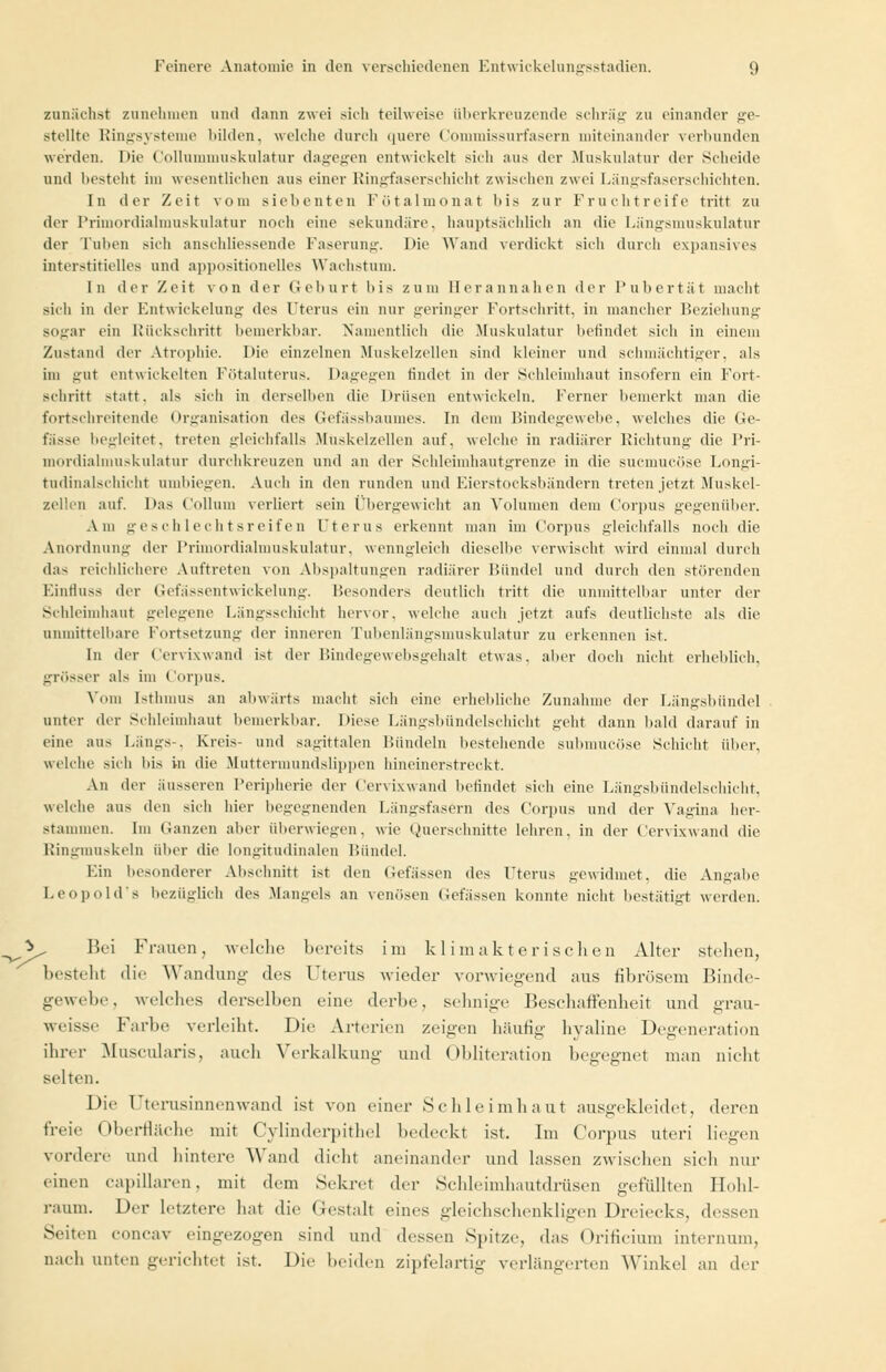 5 zunächst zunehmen und dann zwei sich teilweise überkreuzende schräg zu einander ge- stellte Ringsysteme bilden, welche durch quere Commissurfasern miteinander verbunden werden. Die Collummuskulatur dagegen entwickelt sicli ans der Muskulatur der Scheide und besteht im wesentlichen aus einer Ringfaserschicht zwischen zwei Längsfaserschichten. In der Zeit vom siebenten Fötalmonat bis zur Frucht reife tritt zu der Primordialmuskulatur noch eine sekundäre, hauptsächlich an die Längsmuskulatur der Tuben sich anschliessende Faserung. l>ie Wand verdickt sich durch expansives interstitielles und appositionelles Wachstum. In der Zeit von der Gehurt bis zum Herannahen der Pubertät macht sich in der Entwicklung des Uterus ein nur geringer Fortschritt, in mancher Beziehung sogar ein Rückschritt bemerkbar. Namentlich die Muskulatur befindet sich in einem Zustand der Atrophie. Die einzelnen Muskelzellen sind kleiner und schmächtiger, als im gut entwickelten Fötaluterus. Dagegen rindet in der Schleimhaut insofern ein Fort- schritt statt, als sich in derselben die Drüsen entwickeln. Ferner bemerkt man die fortschreitende Organisation des Gefässbaumes. In dem Bindegewebe, welches die Ge- fässe begleitet, treten gleichfalls Muskelzellen auf. welche in radiärer Richtung die Pri- mordialmuskulatur durchkreuzen und an der Schleimhautgrenze in die suemueöse Longi- tudinalschicht umbiegen. Auch in den runden und Bierstocksbändern treten jetzt Muskel- zellen auf. Das Collum verliert sein Obergewicht an Volumen dem Corpus gegenüber. Am geschlechtsreifen Uterus erkennt man im Corpus gleichfalls noch die Anordnung der Primordialmuskulatur, wenngleich dieselbe verwischt wird einmal durch da- reichlichere Auftreten von Abspaltungen radiärer Bündel und durch den störenden Einfluss der Gefässentwickelung. Besonders deutlich tritt die unmittelbar unter der Schleimhaut gelegene Längsschicht hervor, welche auch jetzt aufs deutlichste als die unmittelbare Fortsetzung der inneren Tubenlängsmuskulatur zu erkennen ist. In der Cervixwand ist der Bindegewebsgehalt etwas, aber doch nicht erheblich, grösser als im Corpus. Vom Isthmus an abwärts macht sich eine erhebliche Zunahme der Längsbündel unter der Schleimhaut bemerkbar. Diese Längsbündelschicht geht dann bald darauf in eine aus Längs-, Kreis- und sagittalen Bündeln bestehende submueöse Schicht über, welche sich bis in die Muttermundslippen hineinerstreckt. An der äusseren Peripherie der Cervixwand befindet sich eine Längsbündelschicht, welche aus den sich hier begegnenden Längsfasern des Corpus und der Vagina her- stammen. Im Ganzen aber überwiegen, wie Querschnitte lehren, in der Cervixwand die Ringmuskeln über die longitudinalen Bündel. Hin besonderer Abschnitt ist den Gefässen des Uterus gewidmet, die Angabe Leopold's bezüglich des Mangels an venösen Gefässen konnte nicht bestätigt werden. Bei Frauen, welche bereits im klimakterischen Alter stellen, besteht die Wandung des Uterus wieder vorwiegend aus fibrösem Binde- gewebe, welches derselben eine derbe, sehnige I.eschaffenheit und grau- weisse Farbe verleiht. Die Arterien zeigen häufig hyaline Degeneration ihrer Muscularis, auch Verkalkung und Obliteration begegnet man nicht selten. Die Uterusinnenwand ist von einer Sehleimhaut ausgekleidet, deren freie Oberfläche mit Cylinderpithel bedeckt ist. Im Corpus uteri liegen vordere und hintere Wand dicht aneinander und lassen zwischen sich nur einen capillaren, mit dem Sekret der Schleimhautdrüsen gefüllten Hohl- raum. Der letztere hat die Gestalt eines gleichschenkligen Dreiecks, dessen Seiten concav eingezogen sind und dessen Spitze, das Orificium internum, nach unten gerichtet ist. Die beiden zipfelartig verlängerten Winkel an »1er