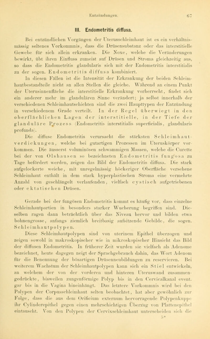 III. Endometritis diffusa. Bei entzündlichen Vorgängen der Uterusschleimhaut ist es ein verhältnis- mässig seltenes Vorkommnis, dass die Drüsensubstanz oder das interstitielle Gewebe für sich allein erkranken. Die Noxe, welche die Veränderungen bewirkt, übt ihren Einfluss zumeist auf Drüsen und Struma gleichzeitig aus. so dass die Endometritis glandularis sich mit der Endometritis interstitialis zu der sogen. Endometritis diffusa kombiniert. In diesen Fällen ist die Intensität der Erkrankung der beiden Schleim- hautbestandteile nicht an allen Stellen die gleiche. Während an einem Punkt der Uterusinnenfläche die interstitielle Erkrankung vorherrscht, rindet sich ein anderer mehr im glandulären Sinne verändert; ja selbst innerhalb der verschiedenen Schleimhautschichten sind die zwei Haupttypen der Entzündung in verschiedenem Grade verteilt. In der Regel überwiegt in den oberflächlichen Lagen der interstitielle, in der Tiefe der glanduläre Pj^ozess (Endometritis interstitialis superficialis, glandularis profunda . Die diffuse Endometritis verursacht die stärksten Schleimhaut- verdickungen, welche bei gutartigen Prozessen im Uteruskörper vor- kommen. Die äusserst voluminösen schwammigen Massen, welche die Curette bei der von Olshausen so bezeichneten Endometritis fung*osa zu Tage befördert werden, zeigen das Bild der Endometritis diffusa. Die stark aufgelockerte weiche, mit anregelmässig höckeriger Oberfläche versehene Schleimhaut enthält in dem stark hyperplastischen Stroma eine vermehrte Anzahl von geschlängelt verlaufenden, vielfach cystisch aufgetriebenen oder e ktatis c h e o Drüsen. Gerade bei der fungösen Endometritis kommt es häufig vor, dass einzelne Schleimhautpartien in besonders starker Wucherung ■ begriffen sind. Die- selben ragen dann beträchtlich über das Niveau hervor und bilden etwa bohnengrosse, anfangs ziemlich breitbasig aufsitzende Gebilde, die sogen. S c hlei m h a u t p o 1 v p e n. Diese Schleimhautpolypen sind von aterinem Epithel überzogen und zeigen sowohl in makroskopischer wie in mikroskopischer Hinsicht das Bild der diffusen Endometritis. In früherer Zeit wurden sie vielfach als Adenome bezeichnet, heute dagegen Qeigl der Sprachgebrauch dahin, das Wort Adenom für die Benennung der bösartigen Drüsenneubildungen zu reservieren. Bei weiterem Wachstum der Schleimhautpolypen kann sich ein Stiel entwickeln, an welchem der von der vorderen und hinteren Uteruswand zusammen- gedrückte, bisweilen zungenförmige Polyp bis in den Cervicalkanal event. gar bis in die Vagina hineinhängt. Das letztere Vorkommnis wird bei den Polypen df\- Corpusschleimbaut selten beobachtet, hat aber gewöhnlich zur Folge, dass die aus dem Orificium externum hervorragende Polypenkuppe ihr Cylinderepithel gegen einen mehrschichtigen Überzug von Plattenepithel eintauscht. Von den Polypen '1er Cervixschleimhaul unterscheiden sich die