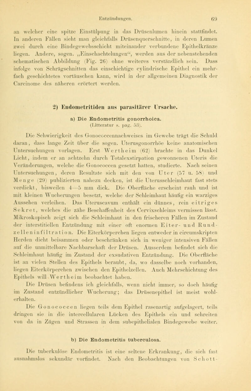 ,111 welcher eine spitze Einstülpung in das Drüsenlumen hinein stattfindet. In anderen Fällen sieht man gleichfalls Drüsenquerschnitte, in deren Lumen zwei durch eine Bindegewehsschicht miteinander verbundene Epithelkränze liegen. Andere, sogen. ..Einschachtelungen, werden aus der nebenstellenden schematischen Abbildung (Fig. '2f>> ohne weiteres verständlich sein. Dass infolge von Schrägschnitten das einschichtige cylindrische Epithel ein mehr- t'aeh geschichtetes vortäuschen kann, wird in der allgemeinen Diagnostik der Carcinome des näheren erörtert werden. 2) Endometritiden aus parasitärer Ursache. a) Die Endometritis gonorrhoica. (Litteratur 8. pag. 53). Die Schwierigkeit des Gonococcennachweises im Gewebe trägt die Schuld daran, dass lange Zeit über die sogen. Uterusgonorrhöe keine anatomischen Untersuchungen vorlagen. Erst Wert heim (i2 krachte in das Dunkel Lieht, indem er an achtzehn durch Totalexstirpation gewonnenen Uteris die Veränderungen, welche die Gonococcen gesetzt hatten, studierte. Nach seinen Untersuchungen, deren Resultate sieh mit den von Uter (57 u. 58) und Bienge 29) publizierten nahezu decken, ist die Uterusschleimhaut fast stets verdickt, bisweilen 1 .> mm dick. Die Oberfläche erscheint rauh und ist mit kleinen Wucherungen besetzt, welche der Schleimhaut häutig ein warziges Aussehen verleihen. Das l'teruscavum enthält ein dünnes, rein eitriges Sekret, welches die zähe Beschaffenheit des Cervixschleims vermissen lässt. Mikroskopisch zeigl sich die Schleimhaut in den frischeren Fällen im Zustand der interstitiellen Entzündung mit einer oft enormen Fiter- und Hund- zelle n i u f i 11 ra t i o n. Die Eiterkörperchen liegen entweder in circumskripten Herden dicht beisammen oder beschränken sich in weniger intensiven Fidlen auf die unmittelbare Nachbarschaft der Drüsen. Ausserdem befindet sich die Schleimhaut häufig im Zustand der exsudativen Entzündung. Die Oberfläche ist an vielen Stellen des Epithels beraubt, da, wo dasselbe noch vorhanden, liegen Eiterkörperchen zwischen den Epithelzellen. Auch Mehrschichtung des Epithels will Wertheim beobachtet haben. Die Drüsen befindens ich gleichfalls, wenn nicht immer, so doch häufig im Zustand entzündlicher Wucherung; das Drüsenepithel ist meist wohl- erhalten. Die Gonococcen liegen teils dem Epithel rasenartig aufgelagert, teils dringen sie in die intercellularen Lücken des Epithels ein und schreiten von da in Zügen und Strassen in dem subepithelialen Bindegewebe weiter. b) Die Endometritis tuberculosa. Die tuberkulöse Endometritis ist eine seltene Erkrankung, die sich last ausnahmslos sekundär vorfindet. Nach den Beobachtungen von Schott-