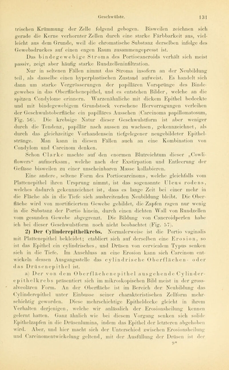 trischen Krümmung der Zelle folgend gebogen. Bisweilen zeichnen sieh gerade die Kerne verhornter Zellen durch eine starke Färbbarkeit ans, viel- leicht aus dem Grunde, weil die chromatische Substanz derselben infolge des Gewebsdruckes auf einen engen Kanin zusammengepresst ist. Das bindegewebige Stroma des Portiocancroids verhält sich meist passiv, zeigt aber häufig starke Rundzelleninfiltration. Nur in seltenen Fidlen nimmt das Struma insofern an der Neubildung teil, als dasselbe einen hyperplastischen Zustand aufweist. Es handelt sich dann um starke Vergrößerungen <Ur papillären Vorsprünge des Binde- gewebes in das Oberflächenepithel, und es entstehen Bilder, welche an die spitzen Condylome erinnern. Warzenähnliche mit dickem Epithel bedeckte und mit bindegewebigem Grundstock versehene Ilervorragungen verleihen der Geschwulstoberfläche ein papilläres Aussehen 'Carcinoma papillomatosum, Fi,. .Mi. Die krebsige Natur dieser Geschwulstform ist aber weniger durch die Tendenz, papillär nach aussen zu wachsen, gekennzeichnet, als durch das gleichzeitige Vorhandensein tiefgelegener aeugebildeter Epithel- stränge. Man kann in diesen Fidlen auch an eine Kombination von Condylom und Carcinom denken. Schon Clarke machte auf den enormen Blutreichtum dieser „Cowli- flowers aufmerksam, welche nach dir Exstirpation und Entleerung der Gelasse bisweilen zu einer unscheinbaren Masse kollabieren. Eine andere, seltene Form des Portiocarcinoms, welche gleichfalls vom Plattenepithel ihren Ursprung nimmt, ist das sogenannte Ulcus rodens, welches dadurch gekennzeichnet ist, dass es lange Zeit bei einer mehr in die Fläche als in die Tiefe sich ausbreitenden Neubildung bleibt. Die Ober- fläche wird von mortificiertem Gewebe gebildet, die Zapfen ragen nur wenig in die Substanz der Portio hinein, durch einen dichten Wall von Rundzellen vom gesunden Gewebe abgegrenzt. Die Bildung von Cancroidperlen habe ich bei dieser Geschwulstform noch nicht beobachtet (Fig. '■>' . 2) Der Cylinderepithelkrebs. Normalerweise ist die Portio vaginalis mit Plattenepithel bekleidet; etabliert sich auf derselben eine Erosion, so ist das Epithel ein cvlindrisehes, und Drüsen von cervicalem Tvpus senken sich in die Tiefe. Im Anschluss an eine Erosion kann sich Carcinom ent- wickeln dessen Ausgangsstelle das cylindrische Oberflächen- oder d a s I) r ü se n e p i t h e I ist. a Dei- von dem Oberflächenepithel ausgehende Cylinder- epithelkrebs präsentiert sich im mikroskopischen Bild meist in der gross- alveolären Form. An der I »berfläche ist im Bereich d^v Neubildung das Cylinderepithel unter Einbusse seiner charakteristischen Zellform mehr- schichtig geworden. Diese mehrschichtige Epitheldecke gleicht in ihrem Verhalten derjenigen, welche wir anlässlich der Erosionsheilung kennen gelernl hatten. Ganz ähnlich wie hei diesem Vorgang senken sich solide Epithelzapfen in die Drüsenlumina, indem das Epithel der letzteren abgehoben wird. Aber, und hier macht sich der Unterschied zwischen Erosionsheilung und Carcinomentwickelung geltend, mit der Ausfüllung >\<'\- Drüsen ist der