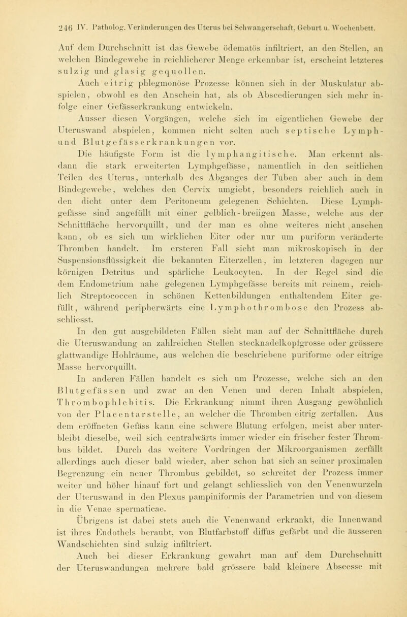 Auf dem Durchschnitt ist das Gewebe ödematös infiltriert, an (Ich Stellen, an welchen Bindegewebe in reichlicherer Menge erkennbar ist. erscheint letzteres sulzig und glasig gequollen. Auch eitrig phlegmonöse Prozesse können sich in der Muskulatur ab- spielen, obwohl es den Anschein hat, als ob Abscedierungen sich mehr in- folge einer Gefässerkrankung entwickeln. Ausser diesen Vorgängen, welche sich im eigentlichen Gewebe der Uteruswand abspielen, kommen nicht selten auch sc}) tische Lymph- und Blutgefässe rkra nkunge n vor. Die häutigste Form ist die lymphangitische. Man erkennt als- dann die stark erweiterten Lymphgefässe, namentlich in den seitlichen Teilen des Uterus, unterhalb des Abganges der Tuben aber auch in dem Bindegewebe, welches den Cervix omgiebt, besonders reichlich auch in den dicht unter dem Peritoneum gelegenen Schichten. Diese Lymph- gefässe sind angefüllt mit einer gelblich-breiigen Masse, welche aus der Schnittfläche hervorquillt, und der man es ohne weiteres nicht ansehen kann, ob es sich um wirklichen Eiter oder nur um puriform veränderte Thromben handelt. Im ersteren Fall sieht man mikroskopisch in der Snspensionsflüssigkeit die bekannten Eiterzellcn. im letzteren dagegen nur körnigen Detritus und spärliche Leukocyten. In der Pegel sind die dem Endometrium nahe gelegenen Lymphgefässe bereits mit reinem, reich- lich Streptococcen in schönen Kettenbildungen enthaltendem Eiter ge- füllt, während peripherwärts eine Lymphothrombose den Prozess ab- schliesst. In den gut ausgebildeten Fidlen sieht man auf der Schnittfläche durch die Uteruswandung an zahlreichen Stellen stecknadelkoptgrosse oder grössere glattwandige Hohlräume, aus welchen die beschriebene puriforme oder eitrige Masse hervorquillt. In anderen Fällen handelt es sich um Prozesse, welche sich an den Blutgefässen und zwar an den Venen und deren Inhalt abspielen, Thrombophlebitis. Die Erkrankung nimmt ihren Ausgang gewöhnlich von der PIacentarstelle, an welcher die Thromben eitrig zerfallen. Aus dem eröffneten Gefäss kann eine schwere Blutung erfolgen, meist aber unter- bleibt dieselbe, weil sich centralwärts immer wieder ein frischer fester Throm- bus bildet. Durch das weitere Vordringen der Mikroorganismen zerfällt allerdings auch dieser bald wieder, aber schon hat sich an seiner proximalen Begrenzung ein neuer Thrombus gebildet, so schreitet der Prozess immer weiter und höher hinauf fort und gelangt schliesslich von den Venenwurzeln der Uteruswand in den Plexus pampiniformis der Parametrien und von diesem in die Venae spermaticae. Übrigens ist dabei stets auch die Venenwand erkrankt, die Innenwand ist ihres Endothels beraubt, von Blutfarbstoff diffus gefärbt und die äusseren Wandschichten sind sulzig infiltriert. Auch bei dieser Erkrankung gewahrt man auf dem Durchschnitt der Uteruswandunsren mehrere bald grössere bald kleinere Abscesse mit