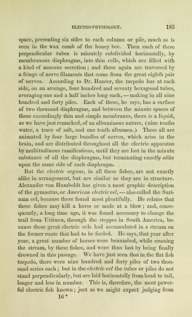 link to previous page