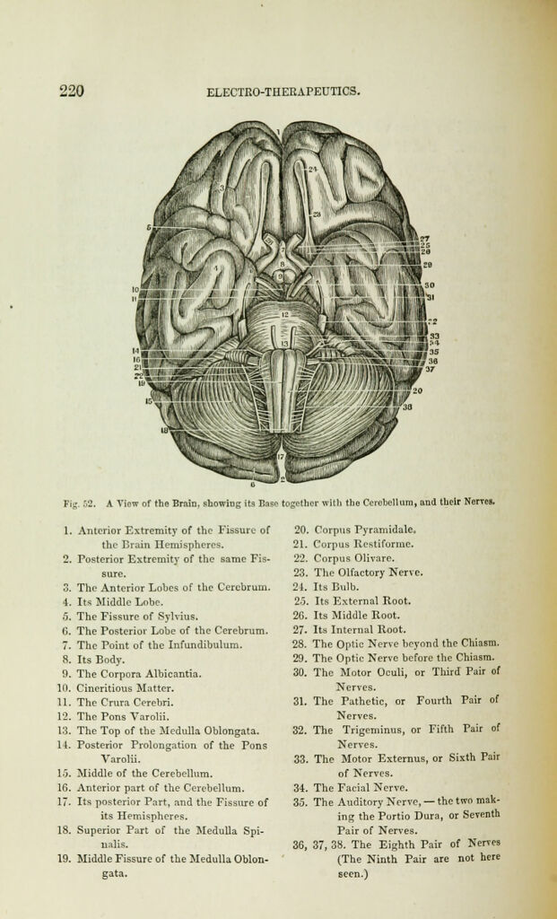 link to previous page