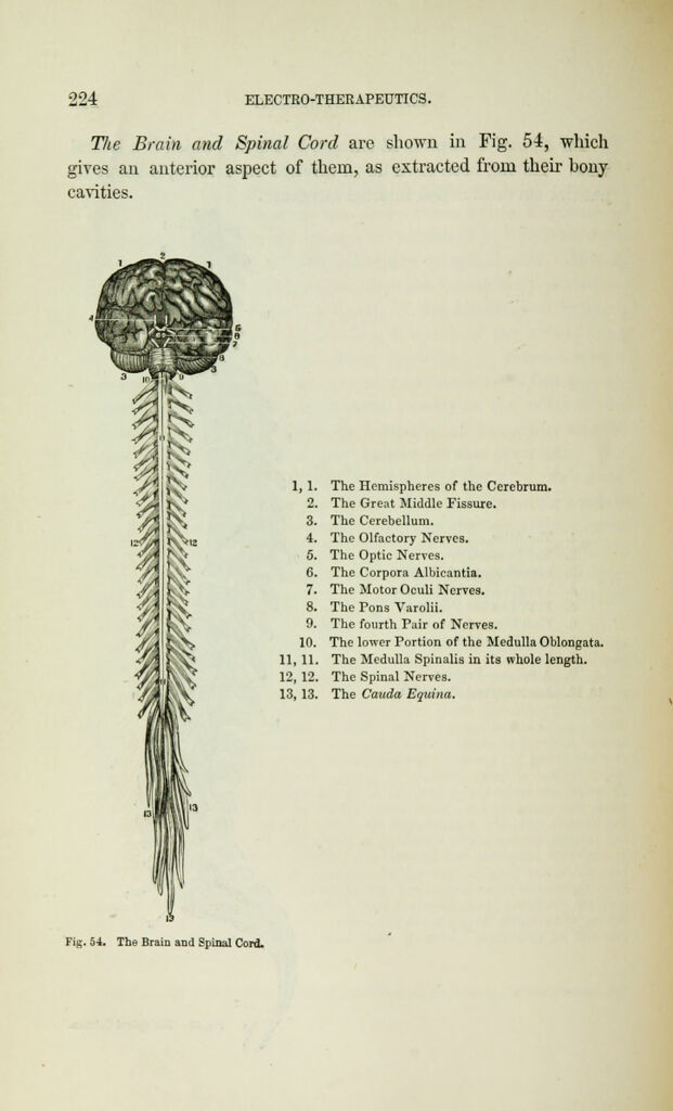 link to previous page