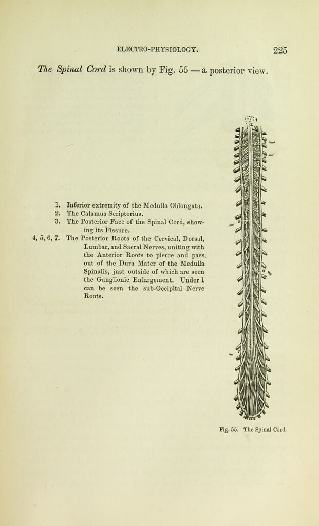 link to previous page