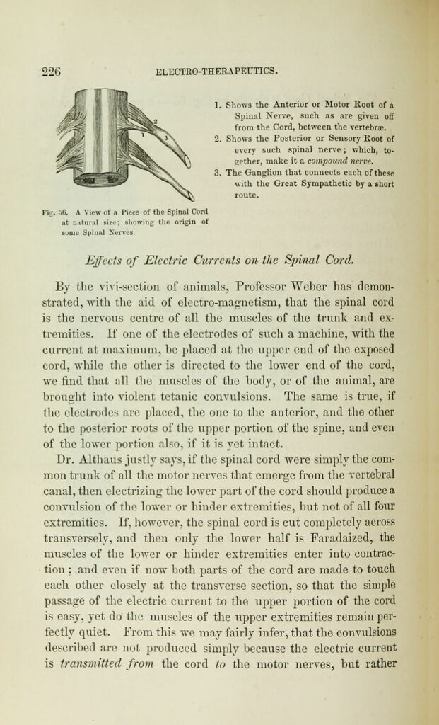 link to previous page