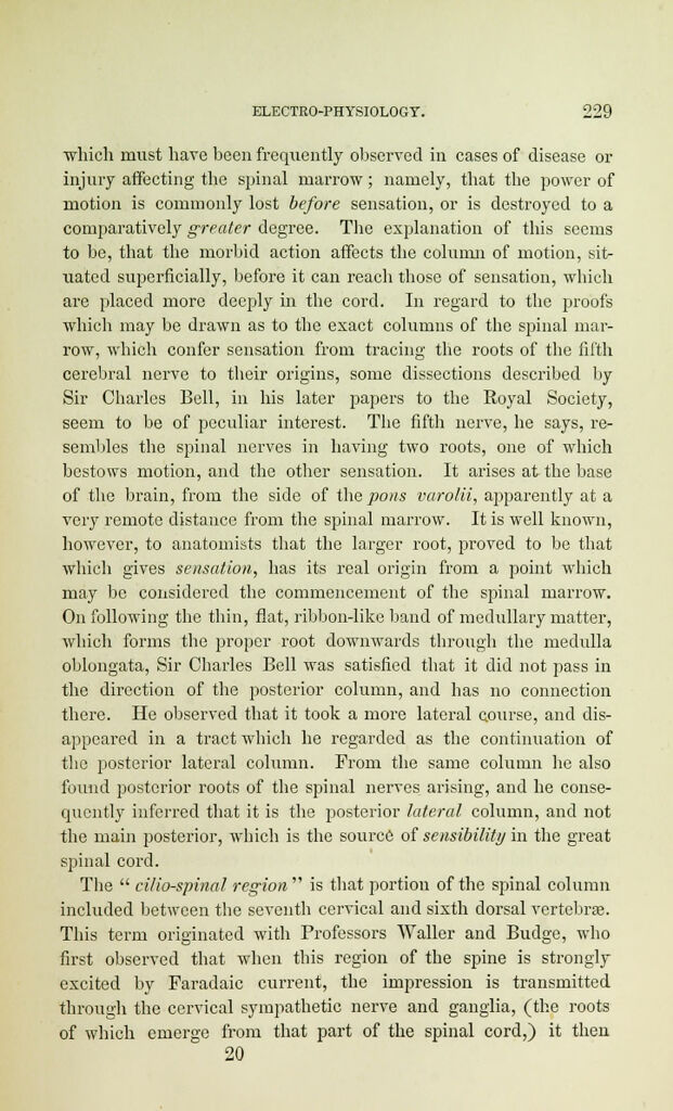 link to previous page