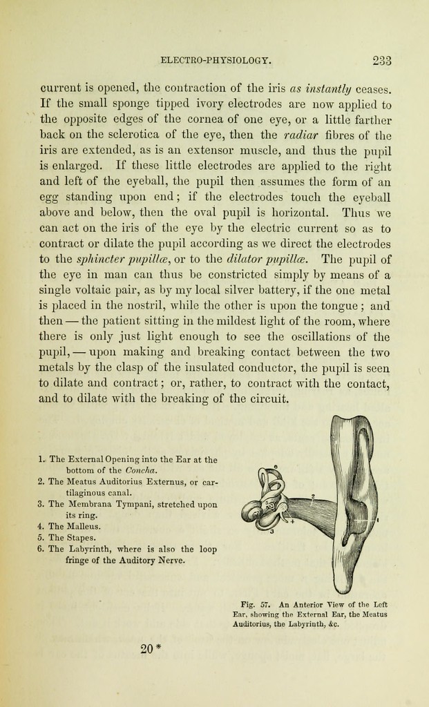 link to previous page