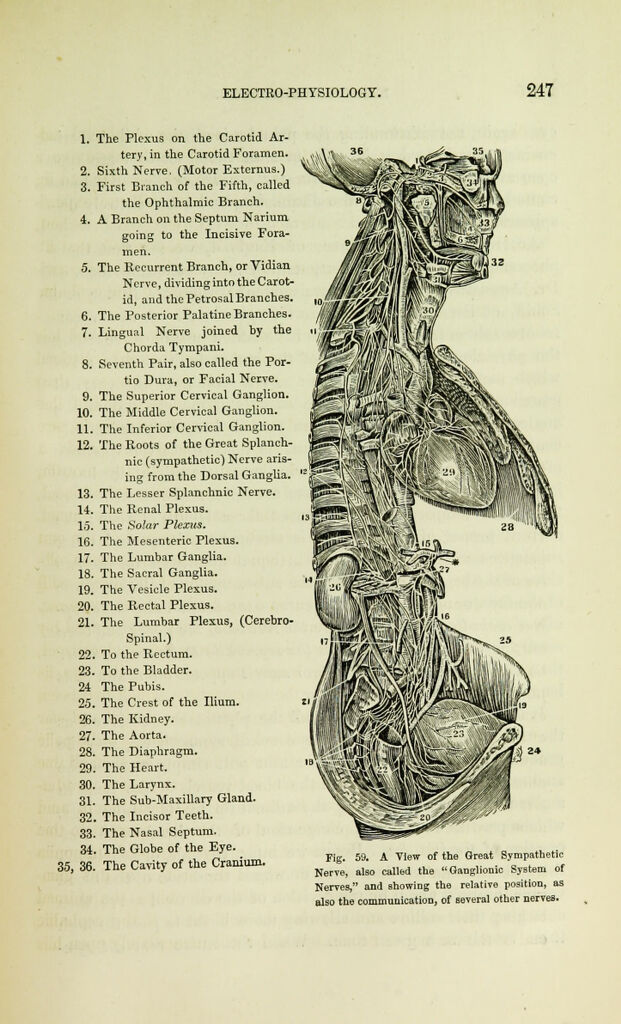 link to previous page