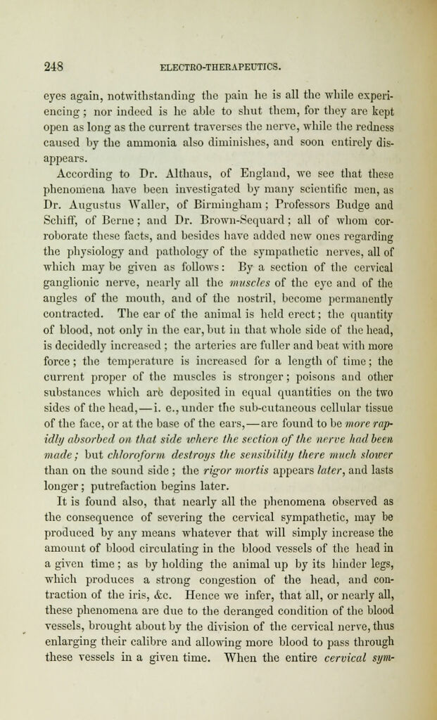 link to previous page