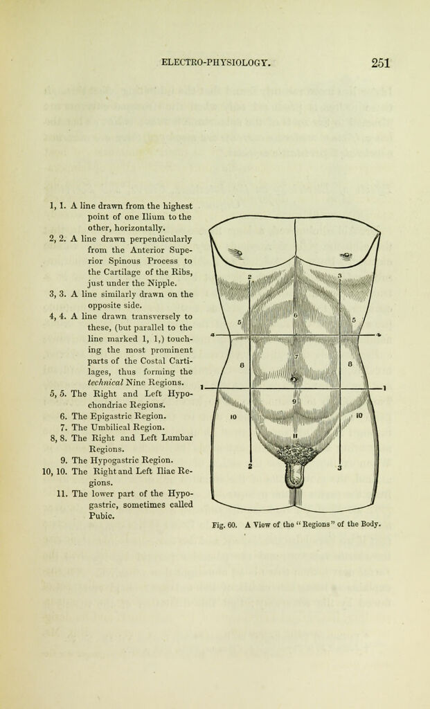link to next page