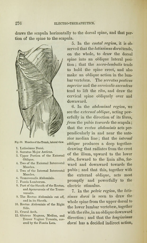 link to previous page