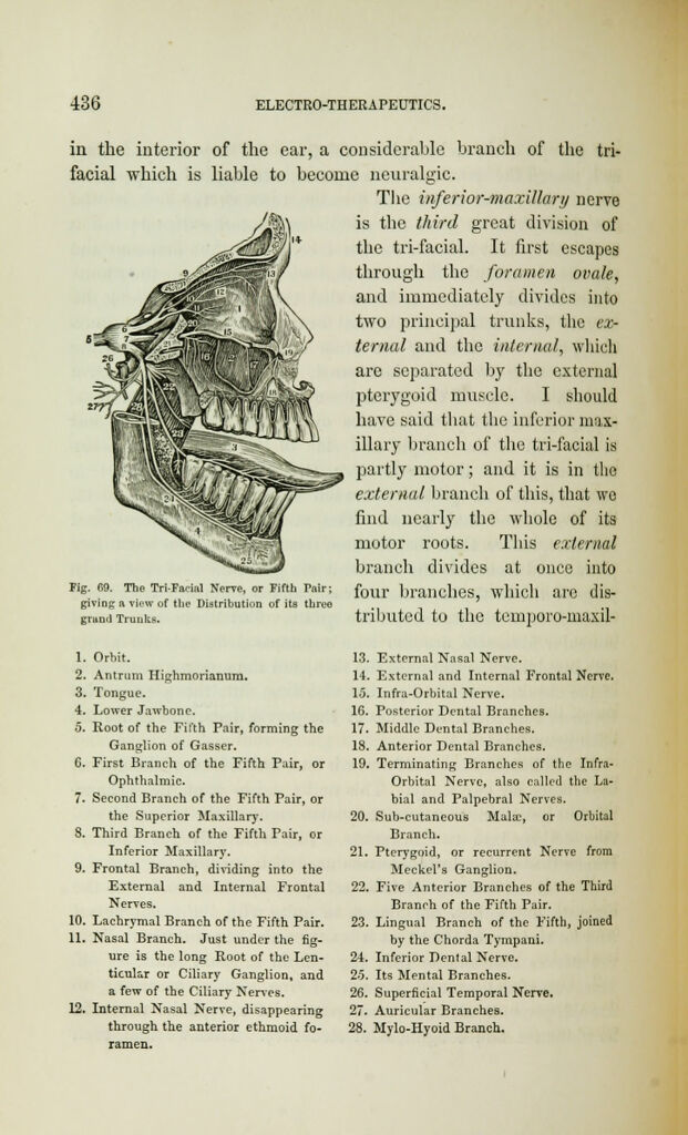link to previous page