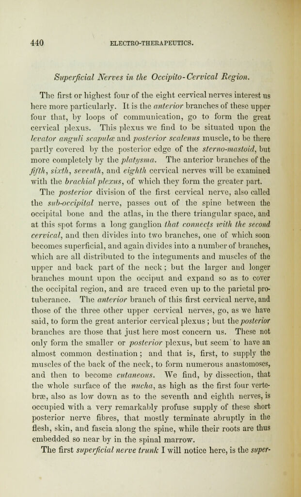 link to previous page