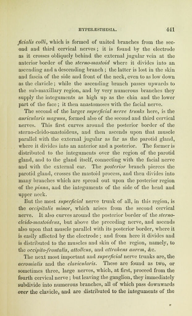 link to previous page