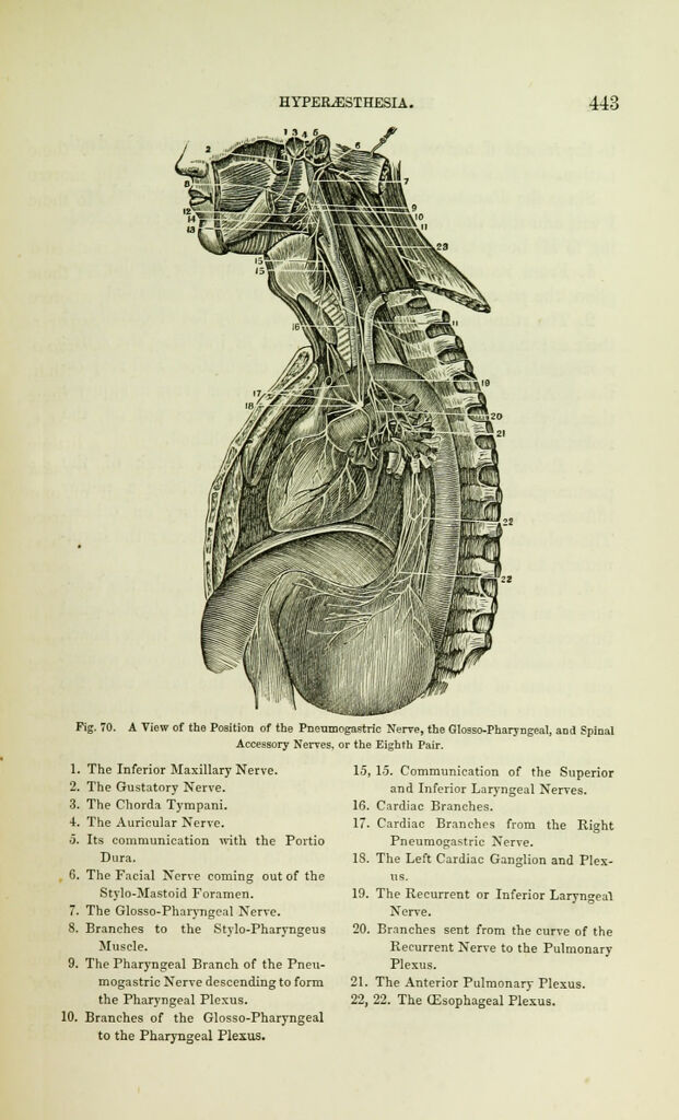 link to next page