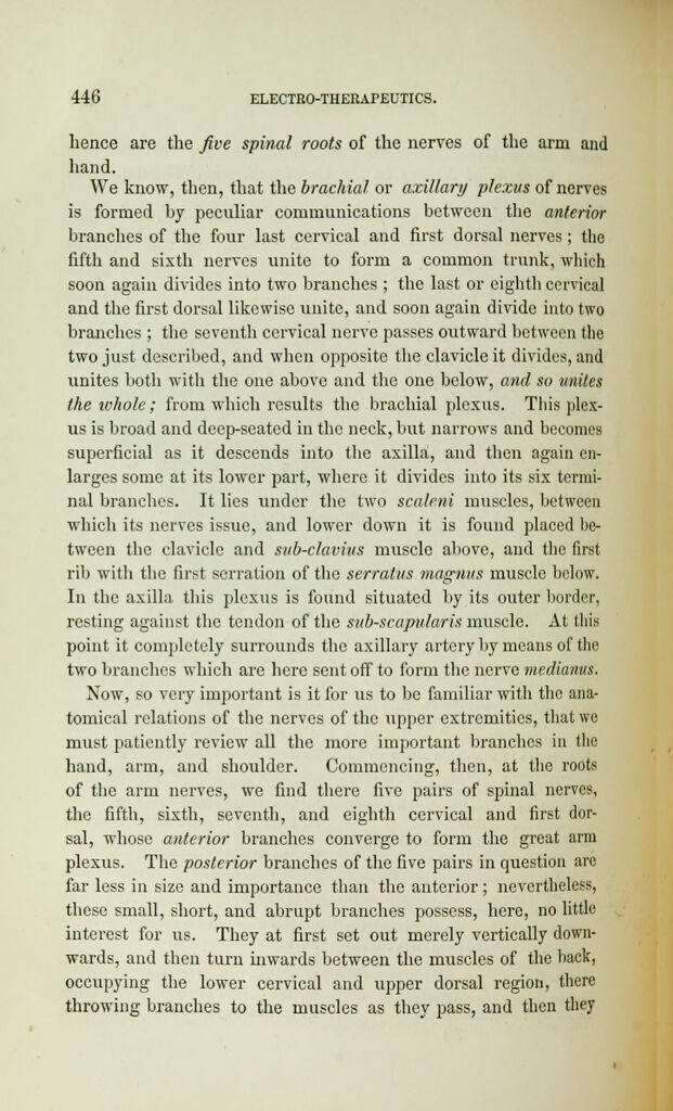 link to previous page