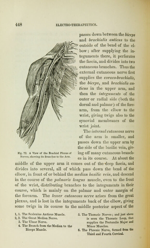 link to previous page