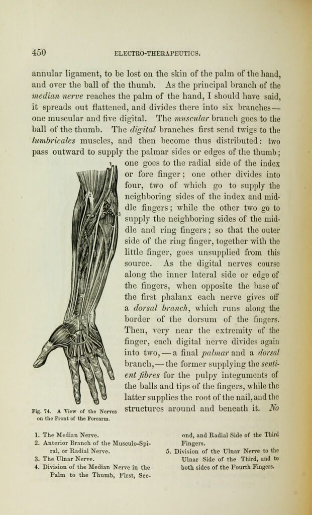 link to next page