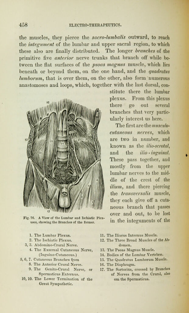 link to previous page