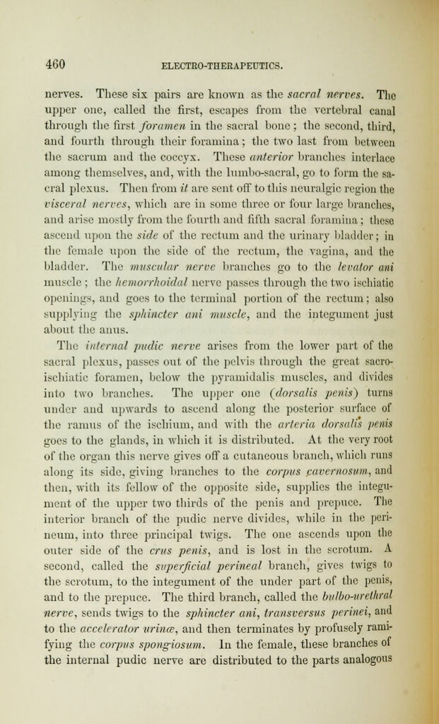 link to previous page