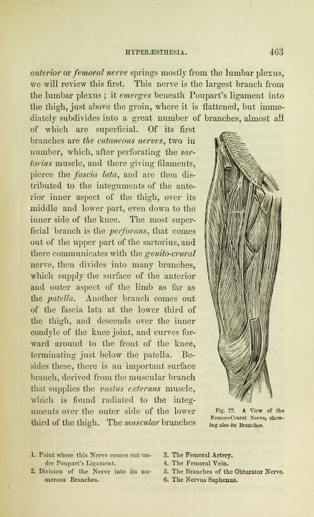 link to previous page