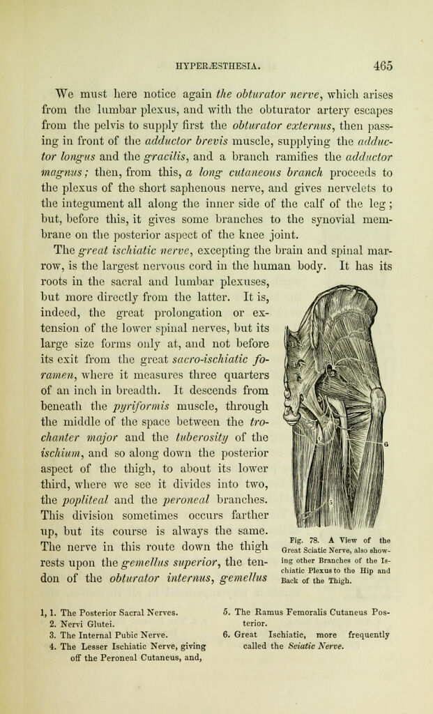 link to next page