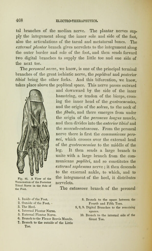 link to previous page