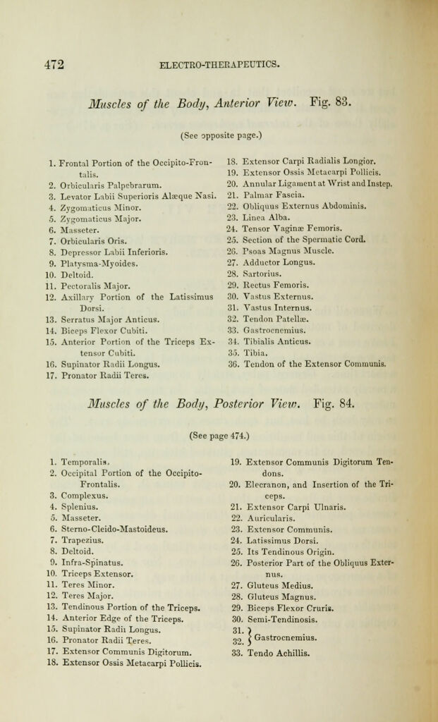 link to previous page