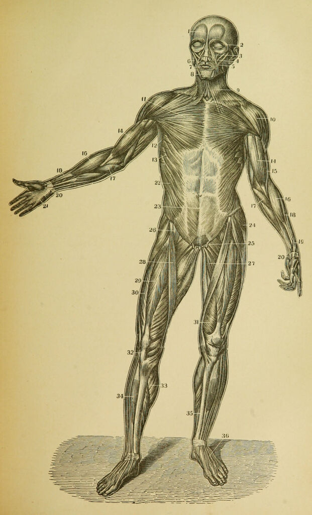 link to previous page