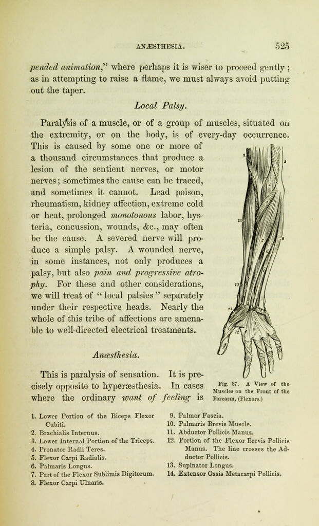 link to previous page