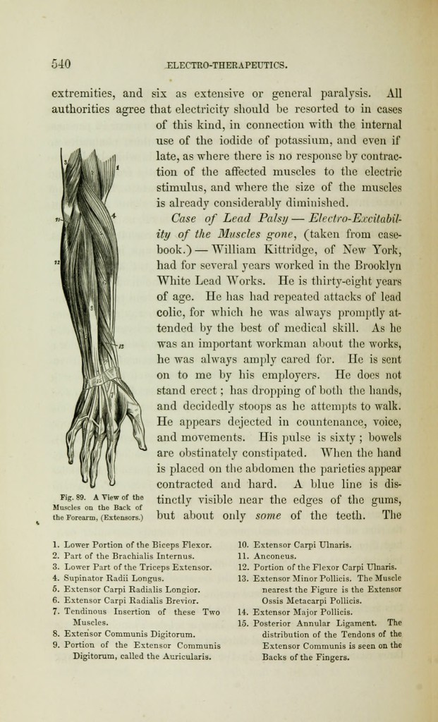 link to previous page