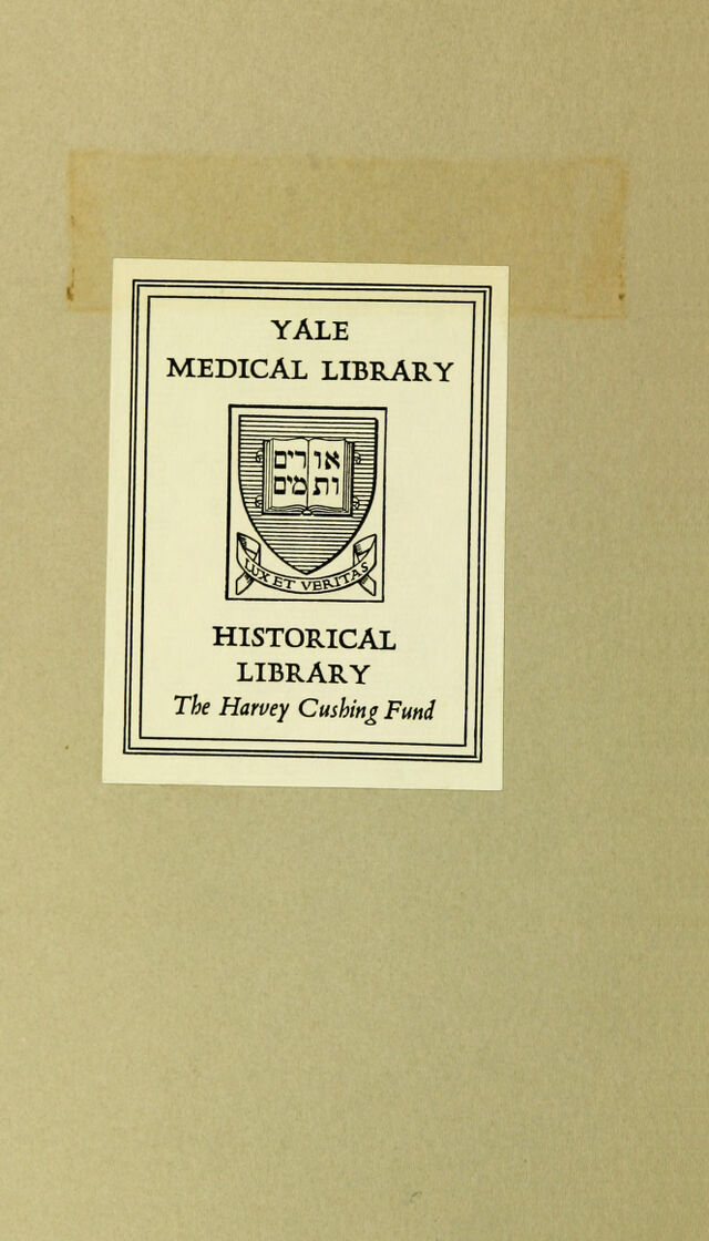 digitised image 2