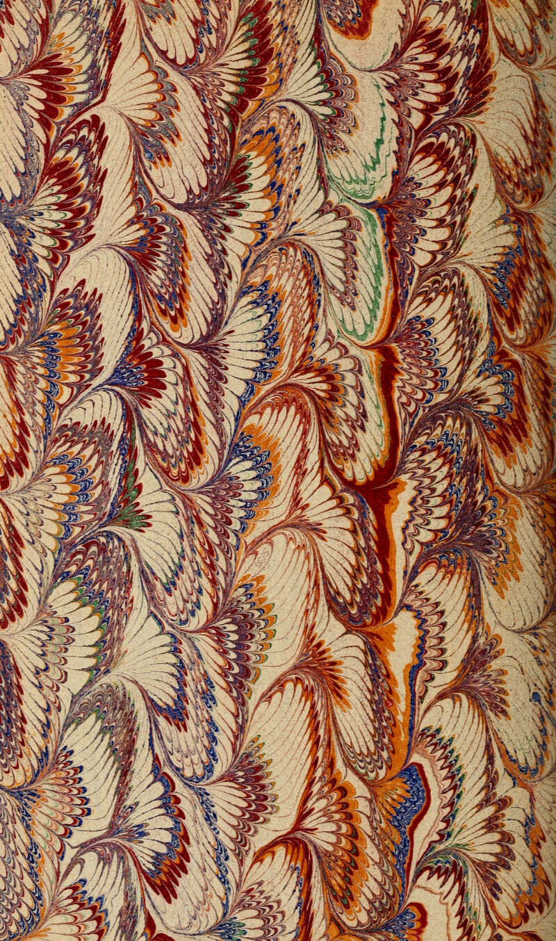 No text description is available for this image