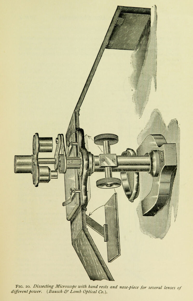 Fig. 20. Dissecting Microscope with hand rests and nose-piece for several lenses of different pozver. (Bausch & Lomb Optical Co.).