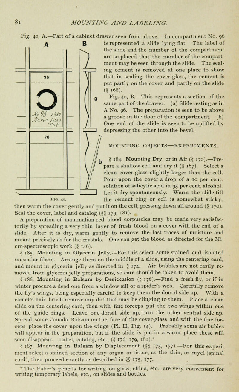 8i 96 Fig. 40, A.—Part of a cabinet drawer seen from above. In compartment No. 96 f^ B is represented a slide lying flat. The label of the slide and the number of the compartment are so placed that the number of the compart- ment may be seen through the slide. The seal- ing cement is removed at one place to show that in sealing the cover-glass, the cement is put partly on the cover and partly on the slide a 168). Fig. 40, B.—This represents a section of the same part of the drawer, (a) Slide resting as in A No. 96. The preparation is seen to be above a groove in the floor of the compartment, (b) One end of the slide is seen to be uplifted by depressing the other into the bevel. o Jo. 96 /sso 70 Fig. 40. MOUNTING OBJECTS—EXPERIMENTS. \ 1S4. Mounting Dry, or in Air ({! 170).—Pre- pare a shallow cell and dry it (\ 167). Select a clean cover-glass slightly larger than the cell. Pour upon the cover a drop of a 10 per cent, solution of salicylic acid in 95 per cent, alcohol. Let it dry spontaneously. Warm the slide till the cement ring or cell is somewhat sticky, then warm the cover gently and put it on the cell, pressing down all around ($ 170). Seal the cover, label and catalog (?? 179, 181). A preparation of mammalian red blood corpuscles may be made very satisfac- torily by spreading a very thin layer of fresh blood on a cover with the end of a slide. After it is dry, warm gently to remove the last traces of moisture and mount precisely as for the crystals. One can get the blood as directed for the Mi- cro-speetroscopic work (\ 146). I 185. Mounting in Glycerin Jelly.--For this select some stained and isolated muscular fibers. Arrange them on the middle of a slide, using the centering card, and mount in glycerin jelly as directed in \ 174. Air bubbles are not easily re- moved from glycerin jelly preparations, so care should be taken to avoid them. ? 1S6. Mounting in Balsam by Desiccation {\ 176).—Find a fresh fly, or if in winter procure a dead one from a window sill or a spider's web. Carefully remove the fly's wings, being especially careful to keep them the dorsal side up. With a camel's hair brush remove any dirt that may be clinging to them. Place a clean slide on the centering card, then with fine forceps put the two wings within one of the guide rings. Leave one dorsal side up, turn the other ventral side up. Spread some Canada Balsam on the face of the cover-glass and with the fine for- ceps place the cover upon the wings (PI. II, Fig. 14). Probably some air-bubles will appear in the preparation, but if the slide is put in a warm place these will soon disappear. Label, catalog, etc., ({! 176, 179, 1S1).* 't 1S7. Mounting in Balsam by Displacement (^ 175, 177).—For this experi- ment select a stained section of any organ or tissue, as the skin, or myel (spinal cord), then proceed exactly as described in $§ 175, 177. * The Faber's pencils for writing on glass, china, etc., are very convenient for writing temporary labels, etc., on slides and bottles.