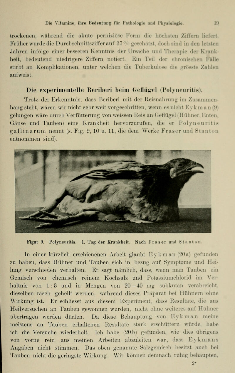 trockenen, während die akute perniziöse Form die höchsten Ziffern lii Früher wurde die Durcbschnittszifferauf 37 % geschätzt, doch sind in den U Jahren infolge einer besseren Kenntnis der Ursache and Therapie der Krank- heit, bedeutend niedrigere Ziffern notier). Ein Teil der chronischen : stirbt an Komplikationen, unter welchen die Tuberkulose d • Zahlen aufweist. Die experimentelle Beriberi beim Geflügel (Polyneuritis Trotz der Erkenntnis, dass IJcriberi mit >\cv Reisnahrung im Zusami hang steht, wären wir nicht seilr weit vorgeschritten, wenn es nicht Eykman 9 gelungen wäre durch Verlutterung von weissen Reis an (reflügel Hühner. Muten. Gänse und Tauben) eine Krankheit hervorzurufen, die er Polyneuritis gallinarum nennt (s. Fig. 9, 10 u. 11, die dem Werke Fräser und Stanton entnommen sind). Figur 9. Polyneuritis. 1. Tag der Krankheit. Nach Fräser und Stanton. In einer kürzlich erschienenen Arbeit glaubt Eykman 20a) gefunden zu haben, dass Hühner und Tauben sich in bezug auf Symptome und Hei- lung verschieden verhalten. Er sagt nämlich, dass, wenn man Tauben ein Gemisch von chemisch reinem Kochsalz und Potassiumchlorid im Ver- hältnis von 1:3 und in Mengen von 20—40 mg subkutan verabreicht, dieselben rasch geheilt werden, während dieses Präparat bei Hühnern ohne Wirkung ist. Er schliesst aus diesem Experiment, dass Resultate, die aus Heilversuchen an Tauben gewonnen wurden, nicht ohne weiteres auf Hühner übertragen werden dürfen. Da diese Behauptung von Eykman meine meistens an Tauben erhaltenen Resultate stark erschüttern würde, habe ich die Versuche wiederholt. Ich habe (20b) gefunden, wie dies übrigens von vorne rein aus meinen Arbeiten abzuleiten war. dass Eykmans Angaben nicht stimmen. Das oben genannte Salzgemisch besitzt auch bei Tauben nicht die geringste Wirkung. Wir könnet! demnach ruhig behaupten.