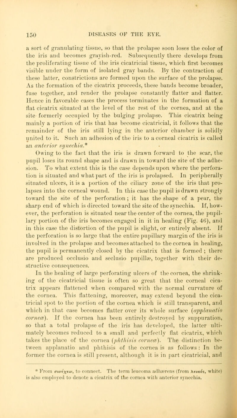 a sort of granulating tissue, so that the prolapse soon loses the color of the iris and becomes grayish-red. Subsequently there develops from the proliferating tissue of the iris cicatricial tissue, which first becomes visible under the form of isolated gray bands. By the contraction of these latter, constrictions are formed upon the surface of the prolapse. As the formation of the cicatrix proceeds, these bands become broader, fuse together, and render the prolapse constantly flatter and flatter. Hence in favorable cases the process terminates in the formation of a flat cicatrix situated at the level of the rest of the cornea, and at the site- formerly occupied by the bulging prolapse. This cicatrix being mainly a portion of iris that has become cicatricial, it follows that the remainder of the iris still lying in the anterior chamber is solidly united to it. Such an adhesion of the iris to a corneal cicatrix is called an anterior synechia* Owing to the fact that the iris is drawn forward to the scar, the pupil loses its round shape and is drawn in toward the site of the adhe- sion. To what extent this is the case depends upon where the perfora- tion is situated and what part of the iris is prolapsed. In peripherally situated ulcers, it is a portion of the ciliary zone of the iris that pro- lapses into the corneal wound. In this case the pupil is drawn strongly toward the site of the perforation; it has the shape of a pear, the sharp end of which is directed toward the site of the synechia. If, how- ever, the perforation is situated near the center of the cornea, the pupil- lary portion of the iris becomes engaged in it in healing (Fig. 46), and in this case the distortion of the pupil is slight, or entirely absent. If the perforation is so large that the entire pupillary margin of the iris is involved in the prolapse and becomes attached to the cornea in healing, the pupil is permanently closed by the cicatrix that is formed ; there are produced occlusio and seclusio pupillae, together with their de- structive consequences. In the healing of large perforating ulcers of the cornea, the shrink- ing of the cicatricial tissue is often so great that the corneal cica- trix appears flattened when compared with the normal curvature of the cornea. This flattening, moreover, may extend beyond the cica- tricial spot to the portion of the cornea which is still transparent, and which in that case becomes flatter over its whole surface {applanatio corneai). If the cornea has been entirely destroyed by suppuration, so that a total prolapse of the iris has developed, the latter ulti- mately becomes reduced to a small and perfectly fiat cicatrix, which takes the place of the cornea {phthisis cornea). The distinction be- tween applanatio and phthisis of the cornea is as follows : In the former the corneals still present, although it is in [»art cicatricial, and * From ffwexetv, to connect. The term leucoma adhaerens (from \(vk6s, white) is also employed to denote a cicatrix of the cornea with anterior synechia.
