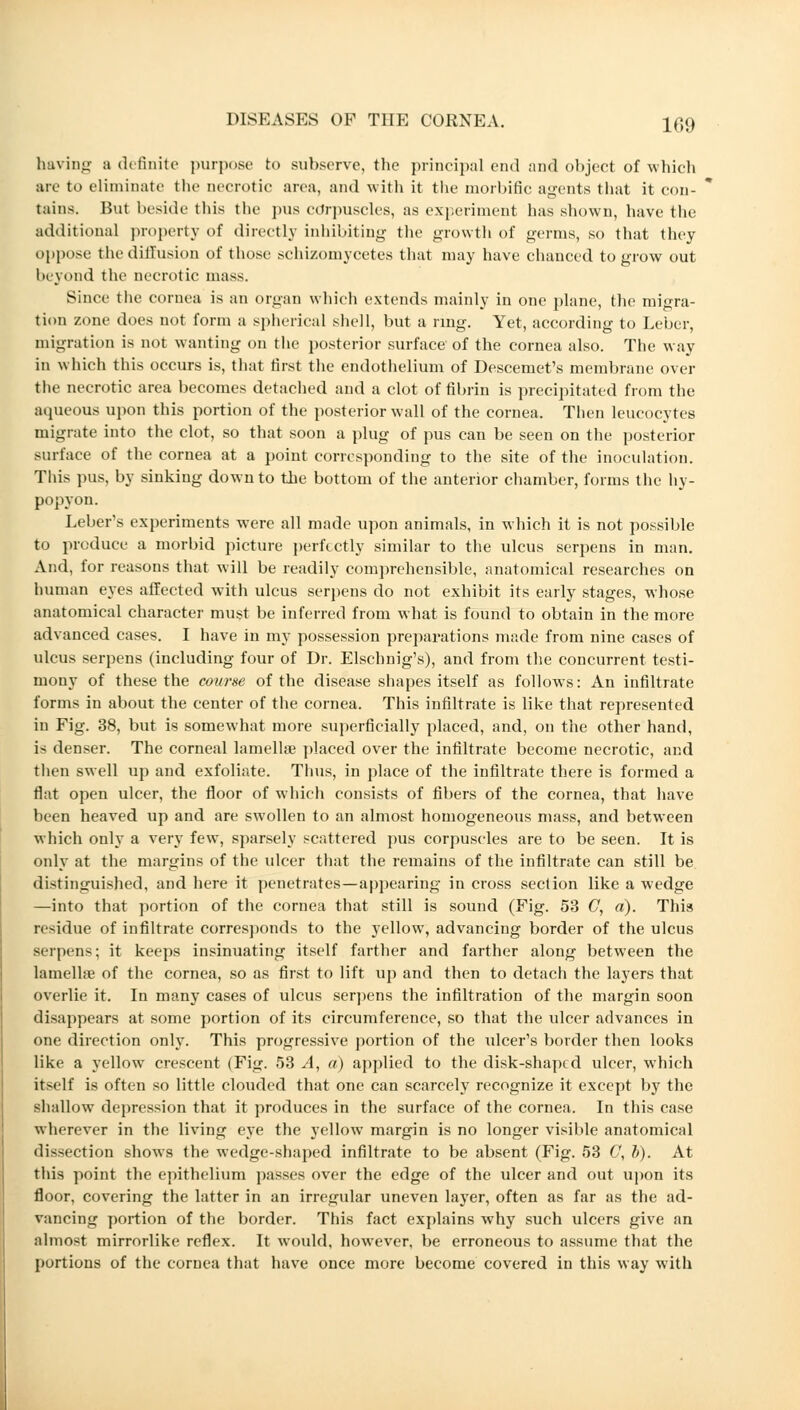 having a dt finite purpose to subserve, the principal end and object of which are to eliminate the necrotic area, and with it the morbific agents that it con- tains. But beside this the pus corpuscles, as experiment has shown, have the additional property of directly inhibiting the growth of germs, so that they oppose the diffusion of those schizomycetes that may have chanced to grow out beyond the necrotic mass. Since the cornea is an organ which extends mainly in one plane, the migra- tion zone does not form a spherical shell, but a ring. Yet, according to Leber, migration is not wanting on the posterior surface of the cornea also. The way in which this occurs is, that first the endothelium of Descemet's membrane over the necrotic area becomes detached and a clot of fibrin is precipitated from the aqueous upon this portion of the posterior wall of the cornea. Then leucocytes migrate into the clot, so that soon a plug of pus can be seen on the posterior surface of the cornea at a point corresponding to the site of the inoculation. This pus, by sinking down to the bottom of the anterior chamber, forms the hy- popyon. Leber's experiments were all made upon animals, in which it is not possible to produce a morbid picture perfectly similar to the ulcus serpens in man. And, for reasons that will be readily comprehensible, anatomical researches on human eyes affected with ulcus serpens do not exhibit its early stages, whose anatomical character must be inferred from what is found to obtain in the more advanced cases. I have in my possession preparations made from nine cases of ulcus serpens (including four of Dr. Elschnig's), and from the concurrent testi- mony of these the course of the disease shapes itself as follows: An infiltrate forms in about the center of the cornea. This infiltrate is like that represented in Fig. 38, but is somewhat more superficially placed, and, on the other hand, is denser. The corneal lamellae placed over the infiltrate become necrotic, and then swell up and exfoliate. Thus, in place of the infiltrate there is formed a flat open ulcer, the floor of which consists of fibers of the cornea, that have been heaved up and are swollen to an almost homogeneous mass, and between which only a very few, sparsely scattered pus corpuscles are to be seen. It is only at the margins of the ulcer that the remains of the infiltrate can still be distinguished, and here it penetrates—appearing in cross section like a wedge —into that portion of the cornea that still is sound (Fig. 53 C, a). This residue of infiltrate corresponds to the yellow, advancing border of the ulcus serpens; it keeps insinuating itself farther and farther along between the lamellae of the cornea, so as first to lift up and then to detach the layers that overlie it. In many cases of ulcus serpens the infiltration of the margin soon disappears at some portion of its circumference, so that the ulcer advances in one direction only. This progressive portion of the ulcer's border then looks like a yellow crescent (Fig. 53 A, a) applied to the disk-shaped ulcer, which itself is often so little clouded that one can scarcely recognize it except by the shallow depression that it produces in the surface of the cornea. In this case wherever in the living eye the yellow margin is no longer visible anatomical dissection shows the wedge-shaped infiltrate to be absent (Fig. 53 C, i). At this point the epithelium passes over the edge of the ulcer and out upon its floor, covering the latter in an irregular uneven layer, often as far as the ad- vancing portion of the border. This fact explains why such ulcers give an almost mirrorlike reflex. It would, however, be erroneous to assume that the portions of the cornea that have once more become covered in this way with