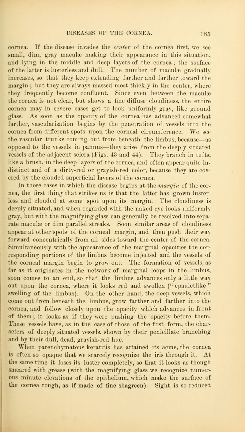 cornea. If the disease invades the center of the cornea first, we see small, dim, gray maculae making their appearance in this situation, and lying in the middle and deep layers of the cornea; the surface of the latter is lusterless and dull. The number of maculae gradually increases, so that they keep extending farther and farther toward the margin ; but they are always massed most thickly in the center, where they frequently become confluent. Since even between the maculae the cornea is not clear, but shows a line diffuse cloudiness, the entire cornea may in severe cases get to look uniformly gray, like ground glass. As soon as the opacity of the cornea has advanced somewhat farther, vascularization begins by the penetration of vessels into the cornea from different spots upon the corneal circumference. We see the vascular trunks coming out from beneath the limbus, because—as opposed to the vessels in pannus—they arise from the deeply situated vessels of the adjacent sclera (Figs. 43 and 44). They branch in tufts, like a brush, in the deep layers of the cornea, and often appear quite in- distinct and of a dirty-red or grayish-red color, because they are cov- ered by the clouded superficial layers of the cornea. In those cases in which the disease begins at the margin of the cor- nea, the first thing that strikes us is that the latter has grown luster- less and clouded at some spot upon its margin. The cloudiness is deeply situated, and when regarded with the naked eye looks uniformly gray, but with the magnifying glass can generally be resolved into sepa- rate maculae or dim parallel streaks. Soon similar areas of cloudiness appear at other spots of the corneal margin, and then push their way forward concentrically from all sides toward the center of the cornea. Simultaneously with the appearance of the marginal opacities the cor- responding portions of the limbus become injected and the vessels of the corneal margin begin to grow out. The formation of vessels, as far as it originates in the network of marginal loops in the limbus, soon comes to an end, so that the limbus advances only a little way out upon the cornea, where it looks red and swollen ( epauletlike  swelling of the limbus). On the other hand, the deep vessels, which come out from beneath the limbus, grow farther and farther into the cornea, and follow closely upon the opacity which advances in front of them; it looks as if they were pushing the opacity before them. These vessels have, as in the case of those of the first form, the char- acters of deeply situated vessels, shown by their penicillate branching and by their dull, dead, grayish-red hue. When parenchymatous keratitis has attained its acme, the cornea is often so opaque that we scarcely recognize the iris through it. At the same time it loses its luster completely, so that it looks as though smeared with grease (with the magnifying glass we recognize numer- ous minute elevations of the epithelium, which make the surface of the cornea rough, as if made of fine shagreen). Sight is so reduced