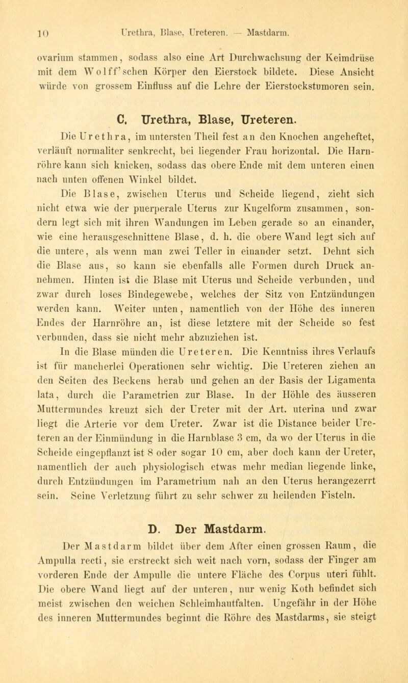 ovarium stammen, sodass also eine Art Durchwachsung der Keimdrüse mit dem Wolff sehen Körper den Eierstock bildete. Diese Ansicht würde von grossem Einflnss auf die Lehre der Eierstockstumoren sein. C. Urethra, Blase, Ureteren. Die Urethra, im untersten Theil fest an den Knochen angeheftet, verläuft normaliter senkrecht, bei liegender Frau horizontal. Die Harn- röhre kann sich knicken, sodass das obere Ende mit dem unteren einen nach unten offenen Winkel bildet. Die Blase, zwischen Uterus und Scheide liegend, zieht sich nicht etwa wie der puerperale Uterus zur Kugelform zusammen, son- dern legt sich mit ihren Wandungen im Leben gerade so an einander, wie eine herausgeschnittene Blase, d. h. die obere Wand legt sich auf die untere, als wenn man zwei Teller in einander setzt. Dehnt sich die Blase aus, so kann sie ebenfalls alle Formen durch Druck an- nehmen. Hinten ist die Blase mit Uterus und Scheide verbunden, und zwar durch loses Bindegewebe, welches der Sitz von Entzündungen werden kann. Weiter unten, namentlich von der Höhe des inneren Endes der Harnröhre an, ist diese letztere mit der Scheide so fest verbunden, dass sie nicht mehr abzuziehen ist. In die Blase münden die Ureteren. Die Kenntniss ihres Verlaufs ist für mancherlei Operationen sehr wichtig. Die Ureteren ziehen an den Seiten des Beckens herab und gehen an der Basis der Ligamenta lata, durch die Parametrien zur Blase. In der Höhle des äusseren Muttermundes kreuzt sich der Ureter mit der Art. uterina und zwar liegt die Arterie vor dem Ureter. Zwar ist die Distance beider Ure- teren an der Einmündung in die Harnblase 3 cm, da wo der Uterus in die Scheide eingepflanzt ist 8 oder sogar 10 cm, aber doch kann der Ureter, namentlich der auch physiologisch etwas mehr median liegende linke, durch Entzündungen im Parametrium nah an den Uterus herangezerrt sein. Seine Verletzung führt zu sehr schwer zu heilenden Fisteln. D. Der Mastdarm. Der Mastdarm bildet über dem After einen grossen Raum, die Ampulla recti, sie erstreckt sich weit nach vorn, sodass der Finger am vorderen Ende der Ampulle die untere Fläche des Corpus uteri fühlt. Die obere Wand liegt auf der unteren, nur wenig Koth befindet sich meist zwischen den weichen Schleimhautfalten. Ungefähr in der Höhe des inneren Muttermundes beginnt die Röhre des Mastdarms, sie steigt