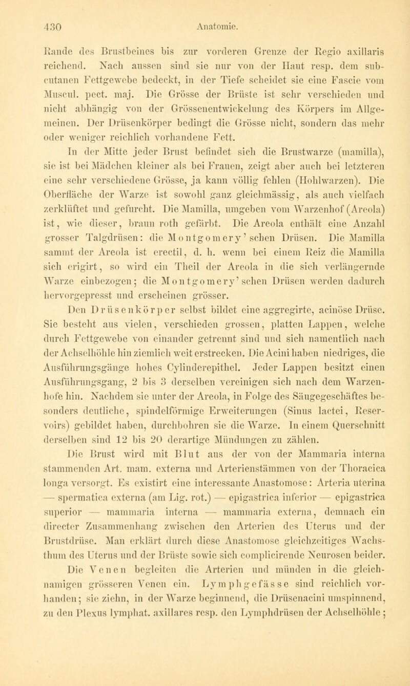 Rande des Brustbeines bis zur vorderen Grenze der Regio axillaris reichend. Nach aussen sind sie nur von der Haut resp. dem sub- cutanen Fettgewebe bedeckt, in der Tiefe scheidet sie eine Fascie vom Muscul. pect. maj. Die Grösse der Brüste ist sehr verschieden und nicht abhängig von der Grössenentwickelung des Körpers im Allge- meinen. Der Drüsenkörper bedingt die Grösse nicht, sondern das mehr oder weniger reichlich vorhandene Fett. In der Mitte jeder Brust befindet sich die Brustwarze (mamilla), sie ist bei Mädchen kleiner als bei Frauen, zeigt aber auch bei letzteren eine sehr verschiedene Grösse, ja kann völlig fehlen (Hohlwarzen). Die Oberfläche der Warze ist sowohl ganz gleichmässig, als auch vielfach zerklüftet und gefurcht. Die Mamilla, umgeben vom Warzenhof (Areola) ist, wie dieser, braun roth gefärbt. Die Areola enthält eine Anzahl grosser Talgdrüsen: die Montgomery' sehen Drüsen. Die Mamilla sammt der Areola ist erectil, d. h. wenn bei einem Reiz die Mamilla sich erigirt, so wird ein Theil der Areola in die sich verlängernde Warze einbezogen; die Montgomery'sehen Drüsen werden dadurch hervorgepresst und erscheinen grösser. Den Drüsenkörper selbst bildet eine aggregirte, acinöse Drüse. Sie besteht aus vielen, verschieden grossen, platten Lappen, welche durch Fettgewebe von einander getrennt sind und sich namentlich nach der Achselhöhle hin ziemlich weit erstrecken. Die Acini haben niedriges, die Ausführungsgänge hohes Cylinderepithel. Jeder Lappen besitzt einen Ausführungsgang, 2 bis 3 derselben vereinigen sich nach dem Warzen- hofe hin. Nachdem sie unter der Areola, in Folge des Säugegeschäftes be- sonders deutliche, spindelförmige Erweiterungen (Sinus lactei, Reser- voirs) gebildet haben, durchbohren sie die Warze. In einem Querschnitt derselben sind 12 bis 20 derartige Mündungen zu zählen. Die Brust wird mit Blut aus der von der Mammaria interna stammenden Art. mam. externa und Arterienstämmen von der Thoracica longa versorgt. Es existirt eine interessante Anastomose: Arteria uterina — spermatica externa (am Lig. rot.) — epigastriea inferior — epigastrica superior - mammaria interna — mammaria externa, demnach ein directer Zusammenhang zwischen den Arterien des Uterus und der Brustdrüse. Man erklärt durch diese Anastomose gleichzeitiges Wachs- thum des Uterus und der Brüste sowie sich complicirende Neurosen beider. Die Venen begleiten die Arterien und münden in die gleich- namigen grösseren Venen ein. Lymphgefässe sind reichlich vor- handen; sie ziehn, in der Warze beginnend, die Drüsenacini umspinnend, zu den Plexus lymphat. axillares resp. den Lymphdrüsen der Achselhöhle ;