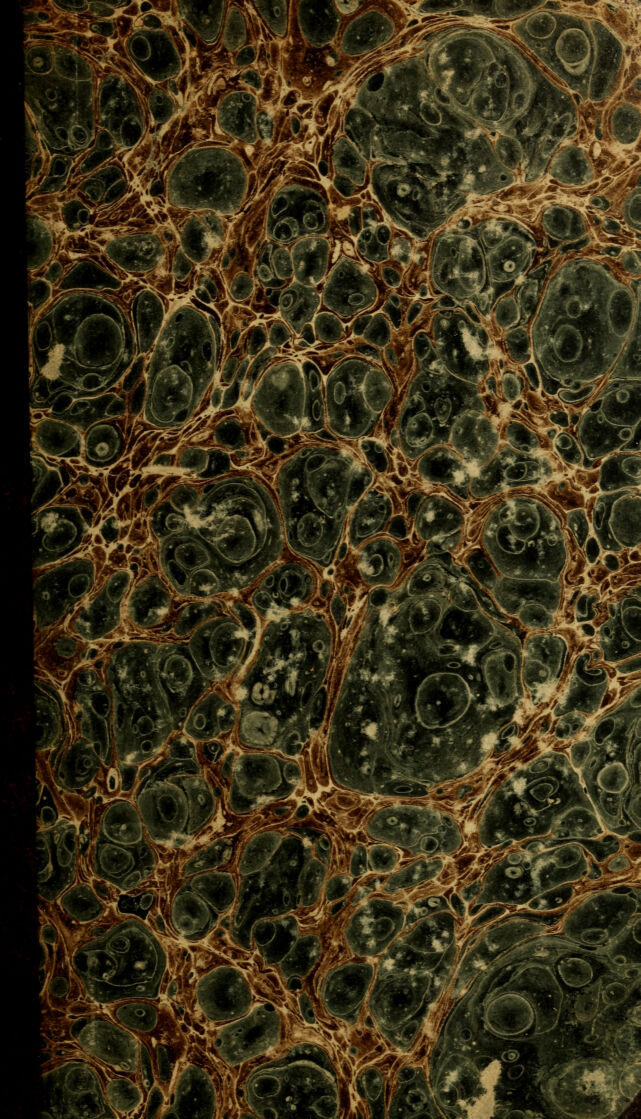 digitised image 1