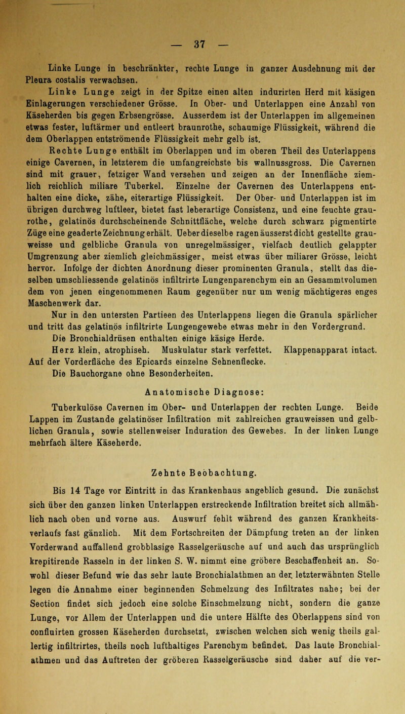 Linke Lunge in beschränkter, rechte Lange in ganzer Ausdehnung mit der Pleura costalis verwachsen. Linke Lunge zeigt in der Spitze einen alten indurirten Herd mit käsigen Einlagerangen verschiedener Grösse. In Ober- und Unterlappen eine Anzahl von Käseherden bis gegen Erbsengrösse. Ausserdem ist der Unterlappen im allgemeinen etwas fester, luftärmer und entleert braunrothe, schaumige Flüssigkeit, während die dem Oberlappen entströmende Flüssigkeit mehr gelb ist. Rechte Lunge enthält im Oberlappen und im oberen Theil des Unterlappens einige Cavernen, in letzterem die umfangreichste bis wallnussgross. Die Cavernen sind mit grauer, fetziger Wand versehen und zeigen an der Innenfläche ziem- lich reichlich miliare Tuberkel. Einzelne der Cavernen des Unterlappens ent- halten eine dicke, zähe, eiterartige Flüssigkeit. Der Ober- und Unterlappen ist im übrigen durchweg luftleer, bietet fast leberartige Consistenz, und eine feuchte grau- rothe, gelatinös durchscheinende Schnittfläche, welche durch schwarz pigmentirte Züge eine geäderte Zeichnungerhält. Ueberdieselbe ragen äusserst dicht gestellte grau- weisse und gelbliche Granula von unregelmässiger, vielfach deutlich gelappter Umgrenzung aber ziemlich gleichmässiger, meist etwas über miliarer Grösse, leicht hervor. Infolge der dichten Anordnung dieser prominenten Granula, stellt das die- selben umschliessende gelatinös infiltrirte Lungenparenchym ein an Gesammtvolumen dem von jenen eingenommenen Raum gegenüber nur um wenig mächtigeres enges Maschenwerk dar. Nur in den untersten Partieen des Unterlappens liegen die Granula spärlicher und tritt das gelatinös infiltrirte Lungengewebe etwas mehr in den Vordergrund. Die Bronchialdrüsen enthalten einige käsige Herde. Herz klein, atrophisch. Muskulatur stark verfettet. Klappenapparat intact. Auf der Vorderfläche des Epicards einzelne Sehnenflecke. Die Bauchorgane ohne Besonderheiten. Anatomische Diagnose: Tuberkulöse Cavernen im Ober- and Unterlappen der rechten Lunge. Beide Lappen im Zustande gelatinöser Infiltration mit zahlreichen grauweissen und gelb- lichen Granula, sowie stellenweiser Induration des Gewebes. In der linken Lunge mehrfaoh ältere Käseherde. Zehnte Beobachtung. Bis 14 Tage vor Eintritt in das Krankenhaus angeblich gesund. Die zunächst sich über den ganzen linken Unterlappen erstreckende Infiltration breitet sich allmäh- lich nach oben und vorne aus. Auswurf fehlt während des ganzen Krankheits- verlaufs fast gänzlich. Mit dem Fortschreiten der Dämpfung treten an der linken Vorderwand auffallend grobblasige Rasselgeräusche auf und auch das ursprünglich krepitirende Rasseln in der linken S. W. nimmt eine gröbere Beschaffenheit an. So- wohl dieser Befund wie das sehr laute Bronchialathmen an der. letzterwähnten Stelle legen die Annahme einer beginnenden Sohmelzung des Infiltrates nahe; bei der Section findet sich jedoch eine solche Einschmelzung nicht, sondern die ganze Lunge, vor Allem der Unterlappen und die untere Hälfte des Oberlappens sind von confluirten grossen Käseherden durchsetzt, zwischen welchen sich wenig theils gal- lertig infiltrirtes, theils noch lufthaltiges Parenohym befindet. Das laute Bronchial- athmen und das Auftreten der gröberen Rasselgeräusche sind daher auf die ver-