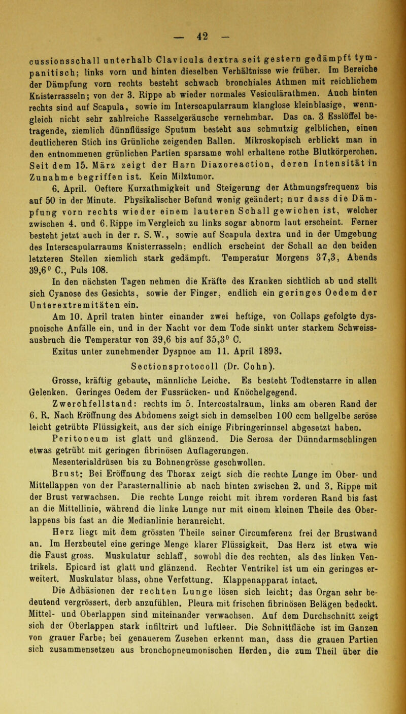 cussionsschall unterhalb Clavicula dextra seit gestern gedämpft tym- panitiscb; links vorn und hinten dieselben Verhältnisse wie früher. Im Bereiche der Dämpfung vorn rechts besteht schwach bronchiales Äthmen mit reichlichem Knisterrasseln; von der 3. Rippe ab wieder normales Vesiculärathmen. Auch hinten rechts sind auf Scapula, sowie im Interscapularraum klanglose kleinblasige, wenn- gleich nicht sehr zahlreiche Rasselgeräusche vernehmbar. Das ca. 3 Esslöffel be- tragende, ziemlich dünnflüssige Sputum besteht aus schmutzig gelblichen, einen deutlicheren Stich ins Grünliche zeigenden Ballen. Mikroskopisch erblickt man in den entnommenen grünlichen Partien sparsame wohl erhaltene rothe Blutkörperchen. Seitdem 15. März zeigt der Harn Diazoreaction, deren Intensität in Zunahme begriffen ist. Kein Milztumor. 6. April. Oeftere Kurzathmigkeit und Steigerung der Athmungsfrequenz bis auf 50 in der Minute. Physikalischer Befand wenig geändert; nur dass die Däm- pfung vorn rechts wieder einem lauteren Schall gewichen ist, welcher zwischen 4. und 6. Rippe im Vergleich zu links sogar abnorm laut erscheint. Ferner besteht jetzt auch in der r. S.W., sowie auf Scapula dextra und in der Umgebung des Interscapnlarraums Knisterrasseln; endlich erscheint der Schall an den beiden letzteren Stellen ziemlich stark gedämpft. Temperatur Morgens 37,3, Abends 39,6° C, Puls 108. In den nächsten Tagen nehmen die Kräfte des Kranken sichtlich ab und stellt sich Cyanose des Gesichts, sowie der Finger, endlich ein geringes Oedem der Unterextremitäten ein. Am 10. April traten hinter einander zwei heftige, von Collaps gefolgte dys- pnoische Anfälle ein, und in der Nacht vor dem Tode sinkt unter starkem Schweiss- ausbruch die Temperatur von 39,6 bis auf 35,3° 0. Exitus unter zunehmender Dyspnoe am 11. April 1893. Sectionsprotocoll (Dr. Cohn). Grosse, kräftig gebaute, männliche Leiche. Es besteht Todtenstarre in allen Gelenken. Geringes Oedem der Fussrücken- und Knöchelgegend. Zwerchfellstand: rechts im 5. Intercostalraum, links am oberen Rand der 6. R. Nach Eröffnung des Abdomens zeigt sich in demselben 100 ccm hellgelbe seröse leicht getrübte Flüssigkeit, aus der sich einige Fibringerinnsel abgesetzt haben. Peritoneum ist glatt und glänzend. Die Serosa der Dünndarmschlingen etwas getrübt mit geringen fibrinösen Auflagerungen. Mesenterialdrüsen bis zu Bohnengrösse geschwollen. Brust: Bei Eröffnung des Thorax zeigt sich die rechte Lunge im Ober- und Mittellappen von der ParaSternallinie ab nach hinten zwischen 2. und 3. Rippe mit der Brust verwachsen. Die rechte Lunge reicht mit ihrem vorderen Rand bis fast an die Mittellinie, während die linke Lunge nur mit einem kleinen Theile des Ober- lappens bis fast an die Medianlinie heranreicht. Herz liegt mit dem grössten Theile seiner Circumferenz frei der Brustwand an. Im Herzbeutel eine geringe Menge klarer Flüssigkeit. Das Herz ist etwa wie die Faust gross. Muskulatur schlaff, sowohl die des rechten, als des linken Ven- trikels. Epicard ist glatt und glänzend. Rechter Ventrikel ist um ein geringes er- weitert. Muskulatur blass, ohne Verfettung. Klappenapparat intact. Die Adhäsionen der rechten Lunge lösen sich leicht; das Organ sehr be- deutend vergrössert, derb anzufühlen. Pleura mit frischen fibrinösen Belägen bedeckt. Mittel- und Oberlappen sind miteinander verwachsen. Auf dem Durchschnitt zeigt sich der Oberlappen stark infiltrirt und luftleer. Die Schnittfläche ist im Ganzen von grauer Farbe; bei genauerem Zusehen erkennt man, dass die grauen Partien sich zusammensetzen aus bronchopneumonischen Herden, die zum Theil über die