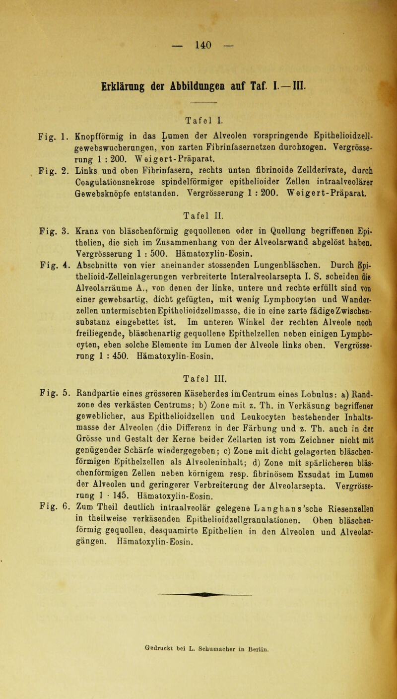 Erklärung der Abbildungen auf Taf I— III. Tafel I. Fig. 1. Knopfförmig in das Lumen der Alveolen vorspringende Epithelioidzell- gewebswucherungen, von zarten Fibrinfasernetzen durchzogen. Vergrösse- rung 1 : 200. Weigert-Präparat. Fig. 2. Links und oben Fibrinfasern, rechts unten fibrinoide Zellderivate, durch Coagulationsnekrose spindelförmiger epithelioider Zellen intraalveolärer Gewebsknöpfe entstanden. Vergrösserung 1 : 200. Weigert-Präparat. Tafel II. Fig. 3. Kranz von bläschenförmig gequollenen oder in Quellung begriffenen Epi- thelien, die sich im Zusammenhang von der Alveolarwand abgelöst haben. Vergrösserung 1 : 500. Hämatoxylin-Eosin. Fig. 4. Abschnitte von vier aneinander stossenden Lungenbläschen. Durch Epi- thelioid-Zelleinlagerungen verbreiterte Interalveolarsepta I. S. scheiden die Alveolarräume A., von denen der linke, untere und rechte erfüllt sind von einer gewebsartig, dicht gefügten, mit wenig Lymphocyten und Wander- zellen untermischten Epithelioidzellmasse, die iD eine zarte fädige Zwischen- substanz eingebettet ist. Im unteren Winkel der rechten Alveole noch freiliegende, bläschenartig gequollene Epithelzellen neben einigen Lympho- cyten, eben solche Elemente im Lumen der Alveole links oben. Vergrösse- rung 1 : 450. Hämatoxylin-Eosin. Tafel III. Fig. 5. Randpartie eines grösseren Käseherdes imCentrum eines Lobulus: a) Rand- zone des verkästen Centrums; b) Zone mit z. Th. in Verkäsung begriffener geweblicher, aus Epithelioidzellen und Leukocyten bestehender Inhalts- masse der Alveolen (die Differenz in der Färbung und z. Th. auch in der Grösse und Gestalt der Kerne beider Zellarten ist vom Zeichner nicht mit genügender Schärfe wiedergegeben; c) Zone mit dicht gelagerten bläschen- förmigen Epithelzellen als Alveoleninhalt; d) Zone mit spärlicheren bläs- chenförmigen Zellen neben körnigem resp. fibrinösem Exsudat im Lumen der Alveolen und geringerer Verbreiterung der Alveolarsepta. Vergrösse- rung 1 • 145. Hämatoxylin-Eosin. Fig. 6. Zum Theil deutlich intraalveolär gelegene Langhans'sche Riesenzellen in theilweise verkäsenden Epithelioidzellgranulationen. Oben bläschen- förmig gequollen, desquamirte Epithelien in den Alveolen und Alveolar- gängen. Hämatoxylin-Eosin. Gedruckt bei L. Schumacher in Berlin.